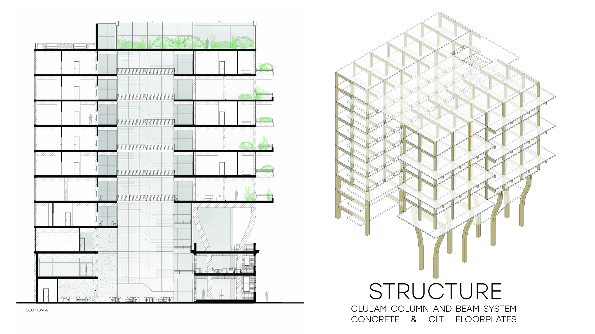 Section/Structure