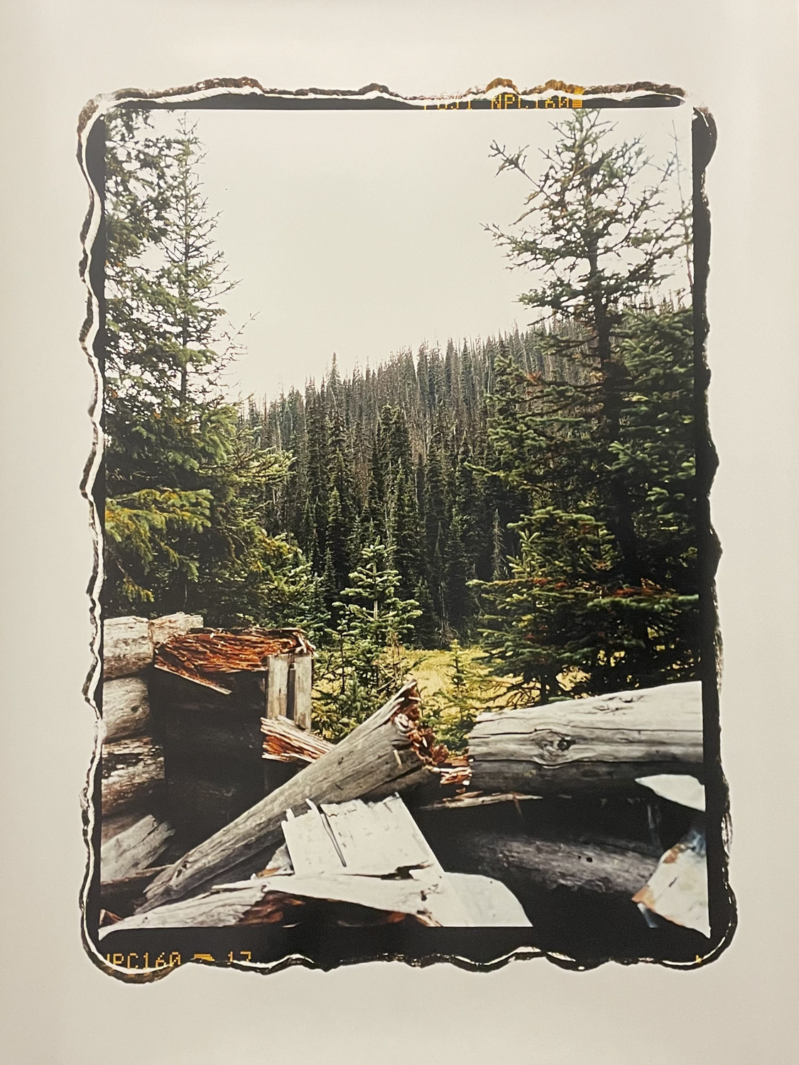 Ashes of Miners Cabin