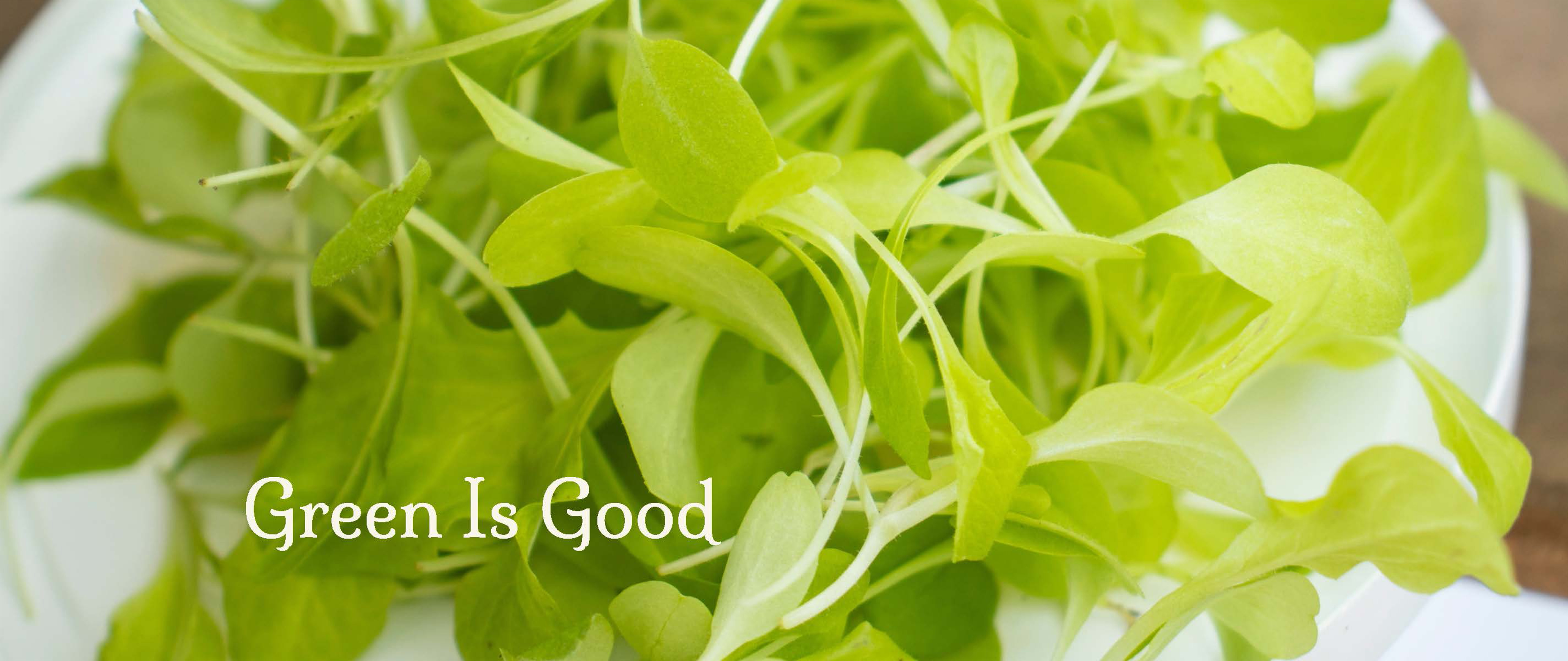Recipe For A Garden