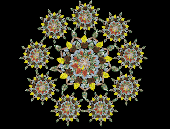 Foraged Digital Collage #5