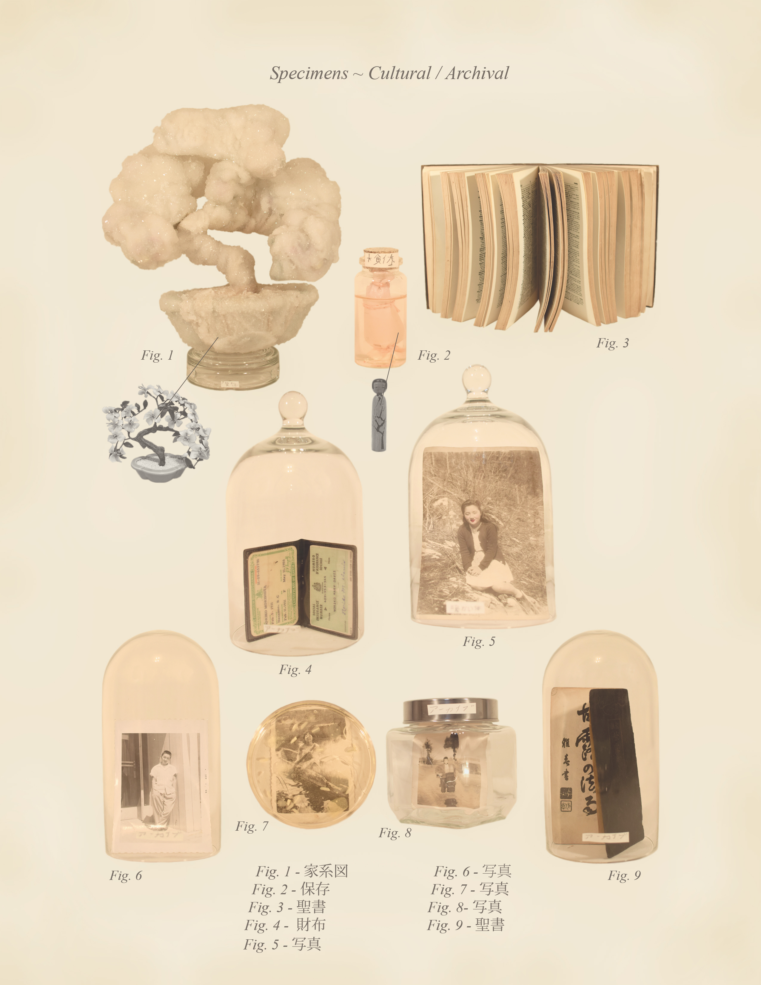 Specimens ~ Cultural / Archival