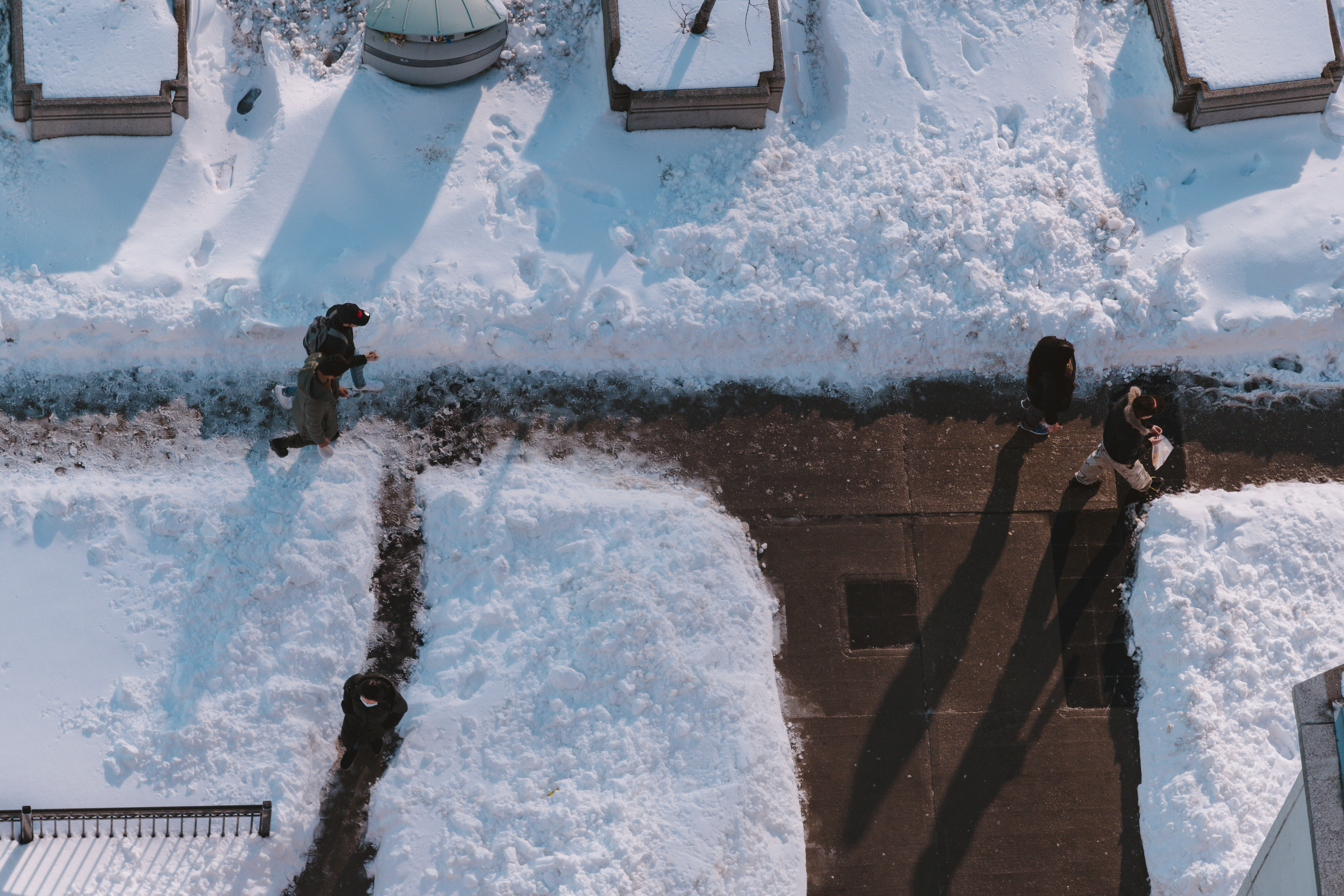 The Moon and Sixpence