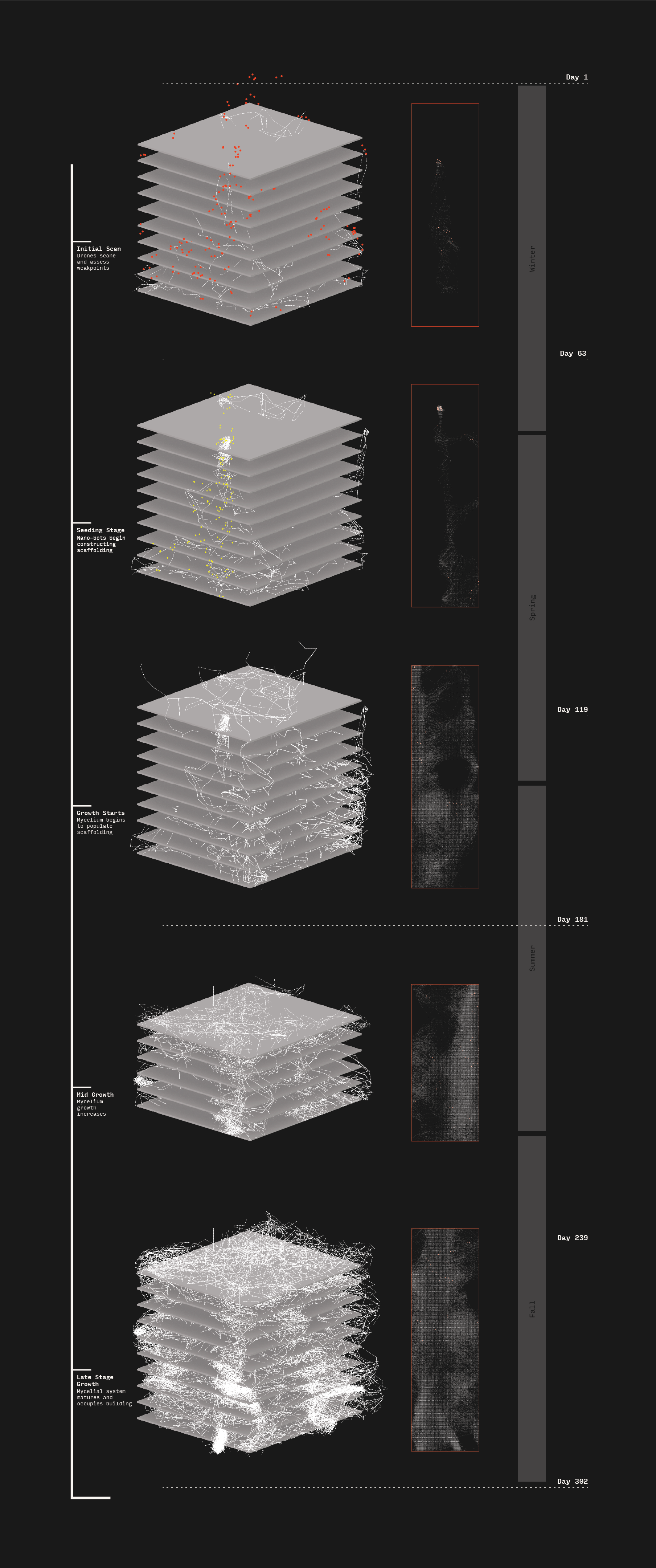 Seasonal and Temporal Diagram