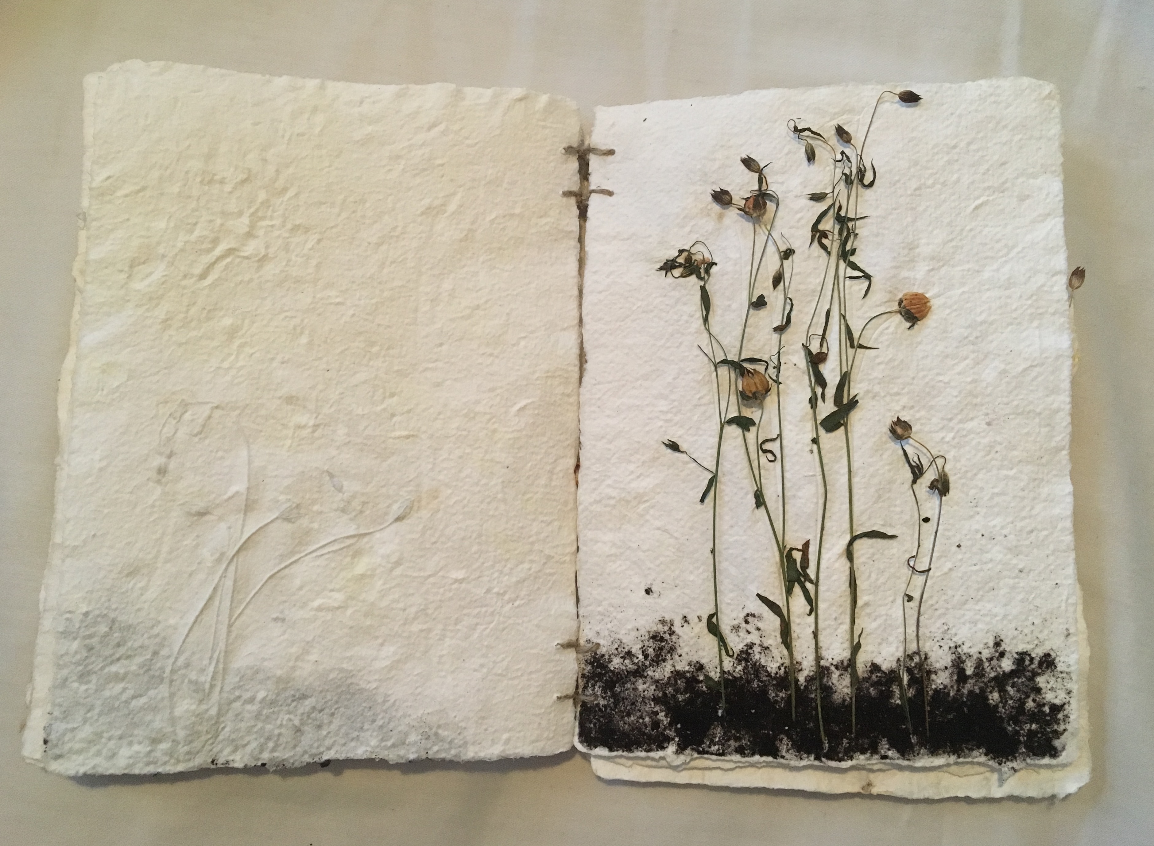 A Book From Seed and Soil