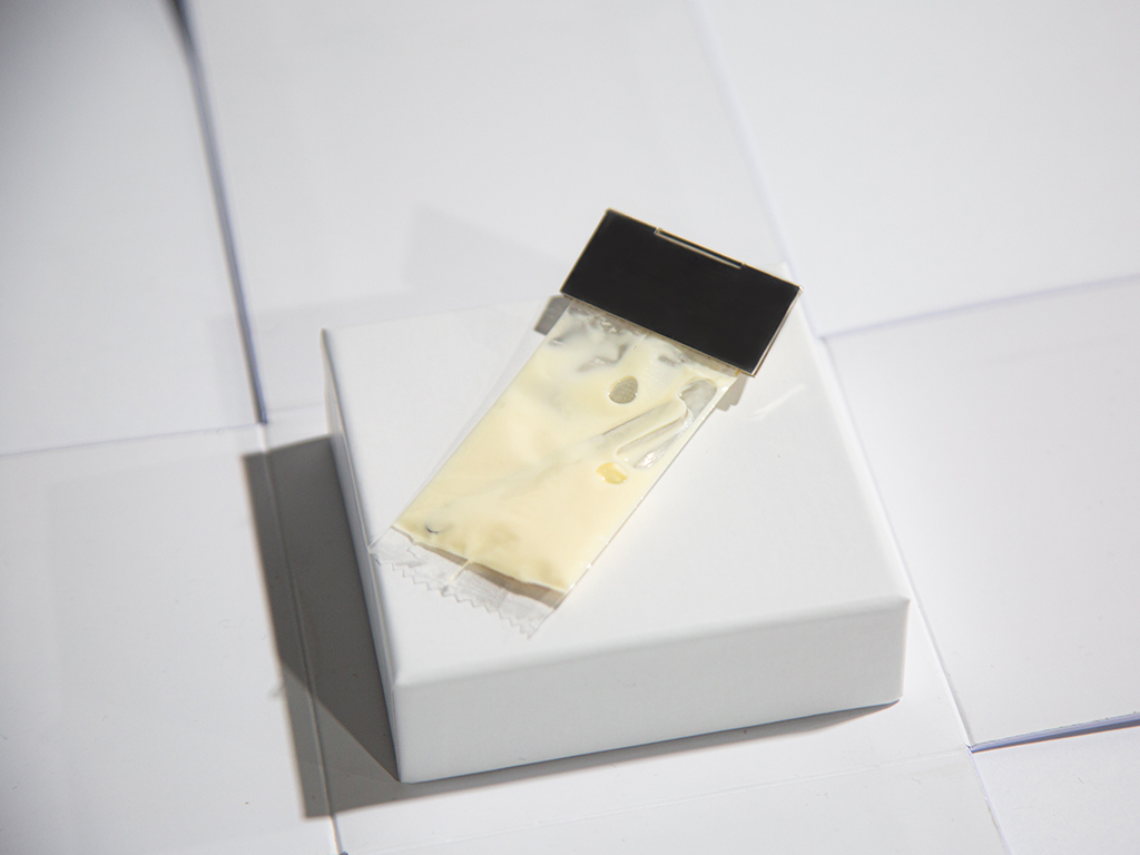 FOOD LOTTERY. (Ice cream brooch)