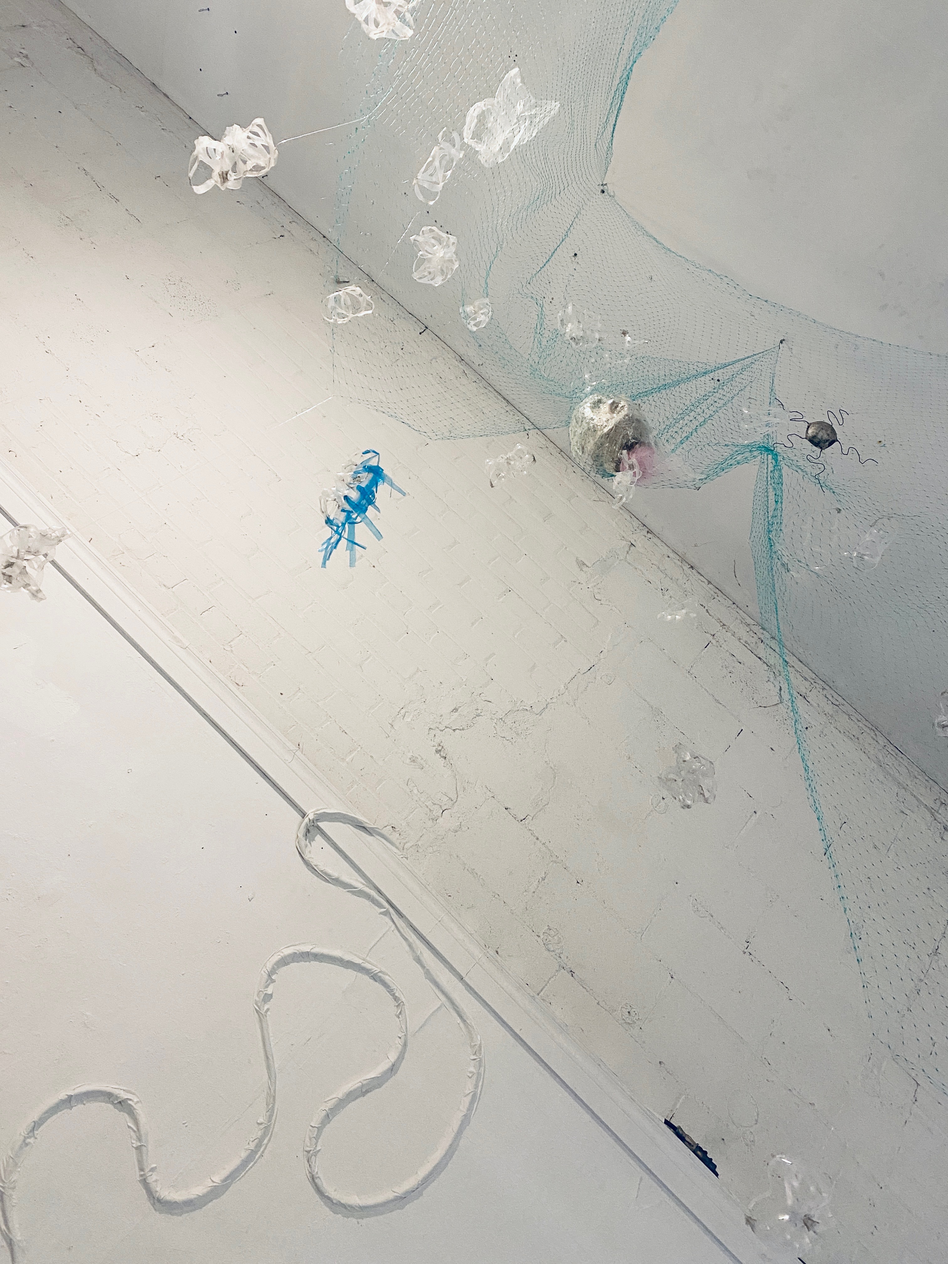 Jellies, Salps, and Brittle Star caught in Sea Sifter, photo by Julius Poncelet Manapul