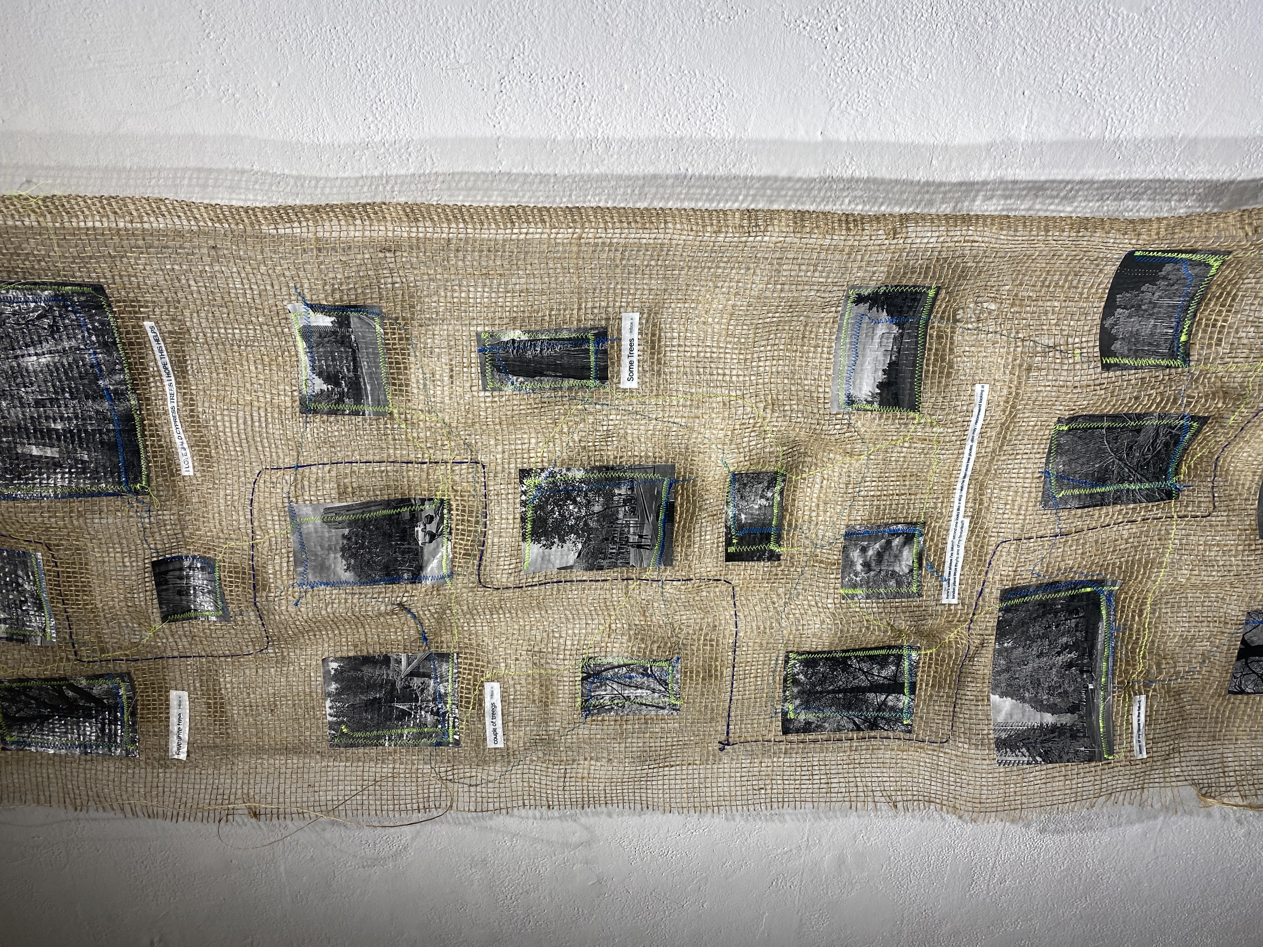 a moment with a tree