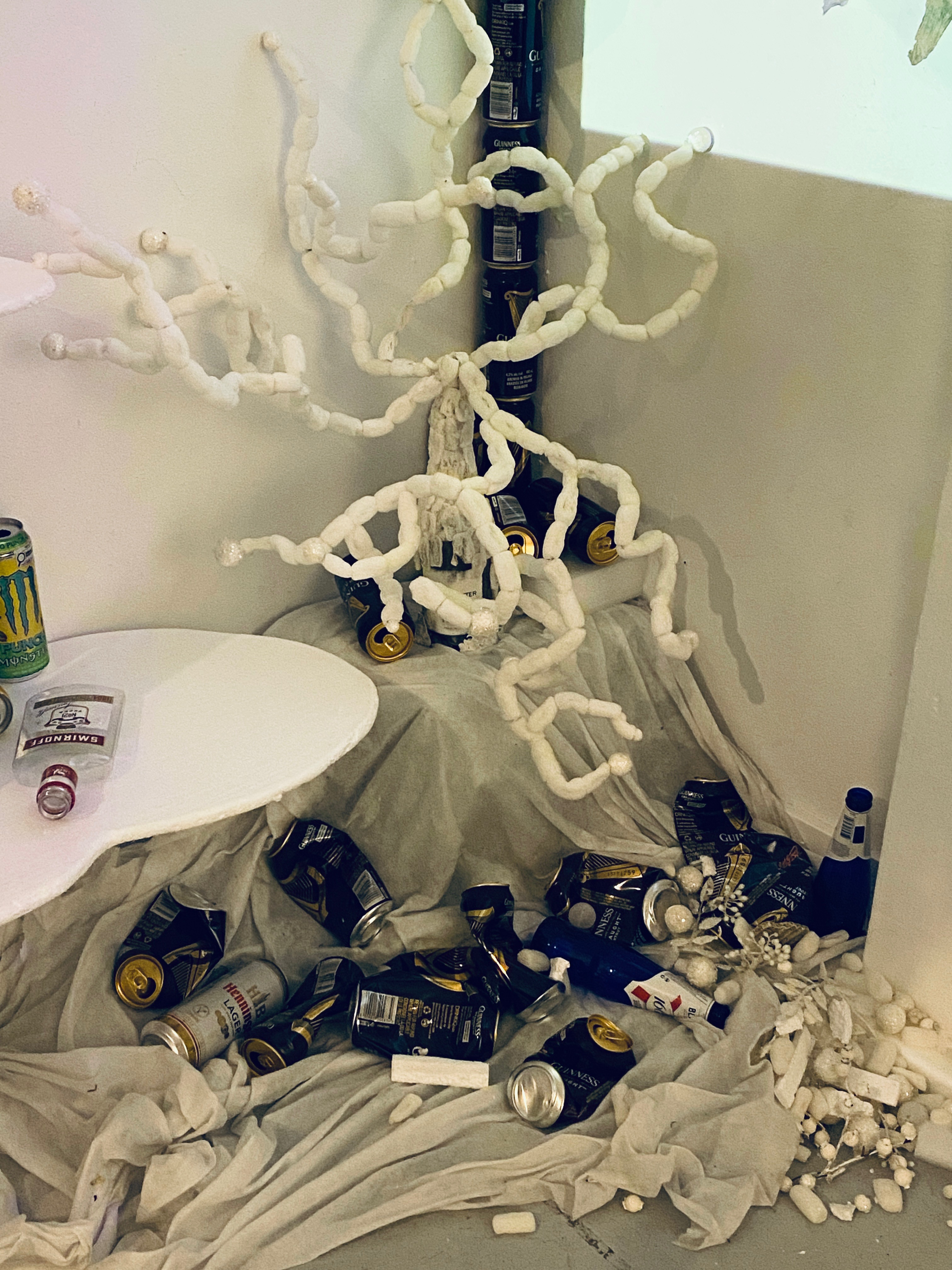 Madrepora mustum, photo by Julius Poncelet Manapul