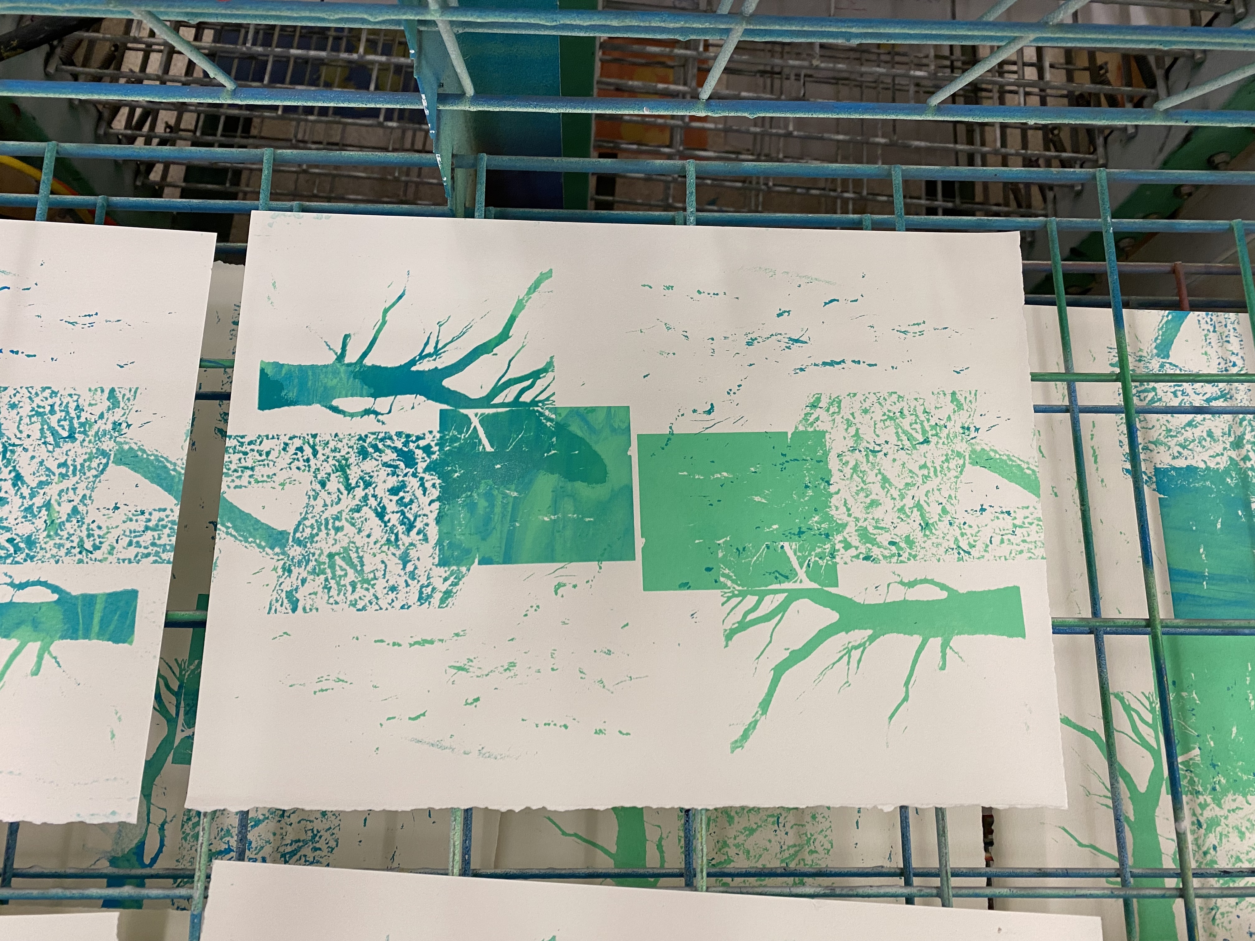 a moment with a tree