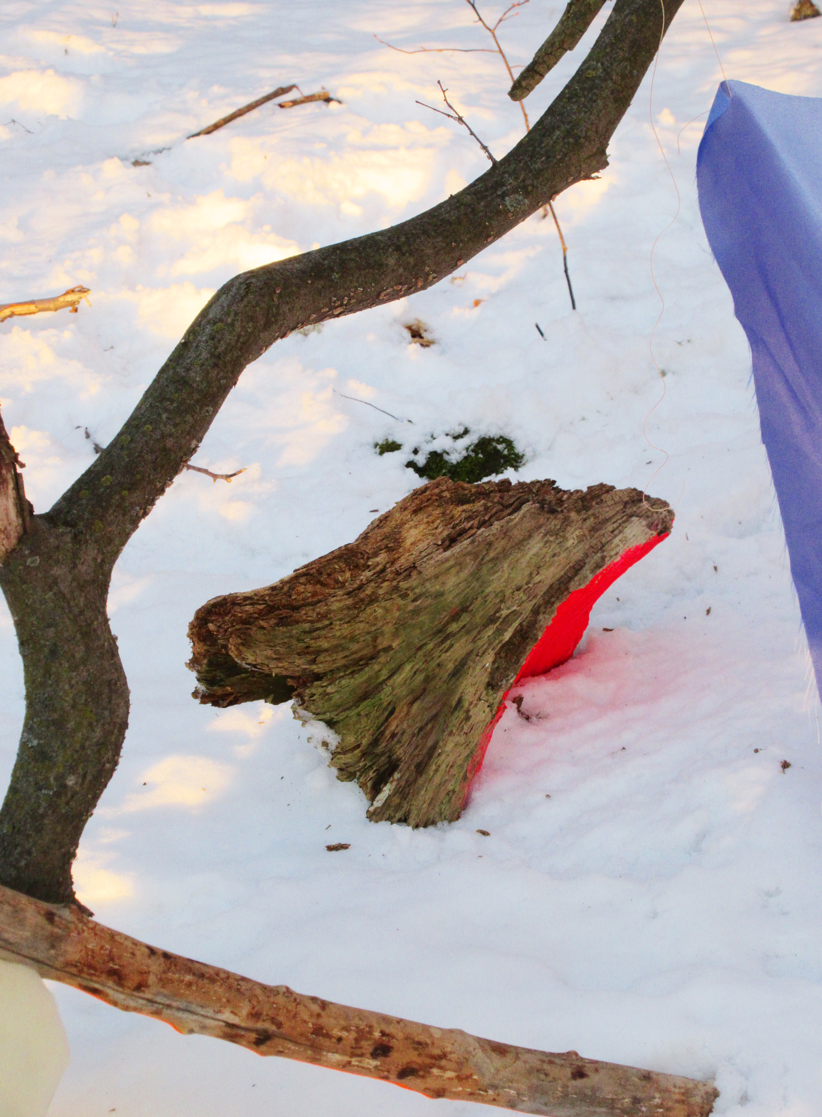 Competing with the Wind