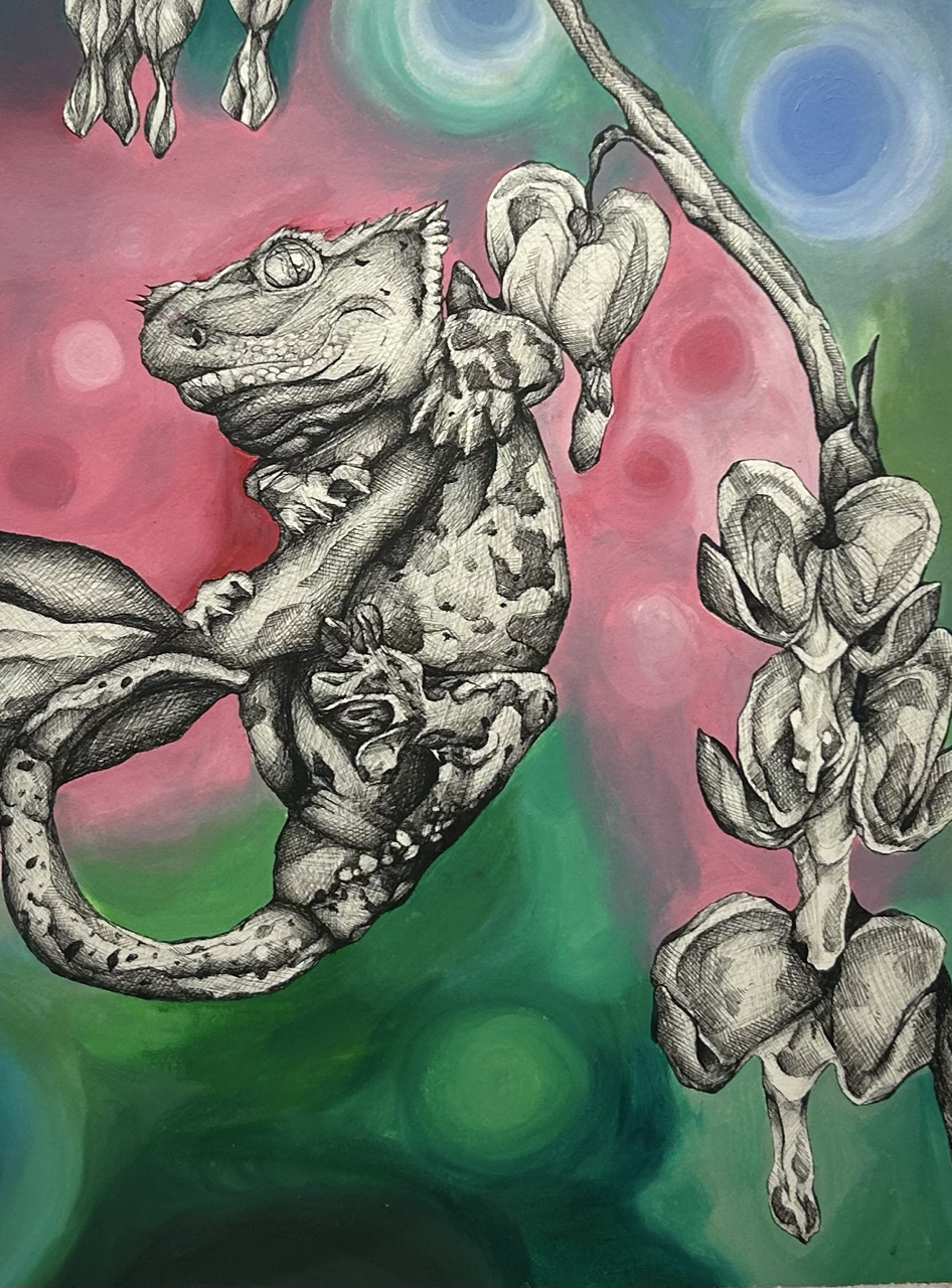 Crested Gecko