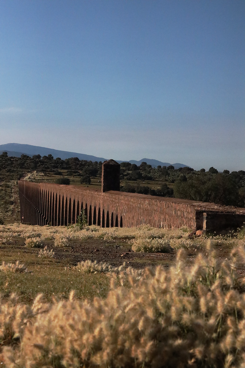 Arcos, Agua y Nopales 5