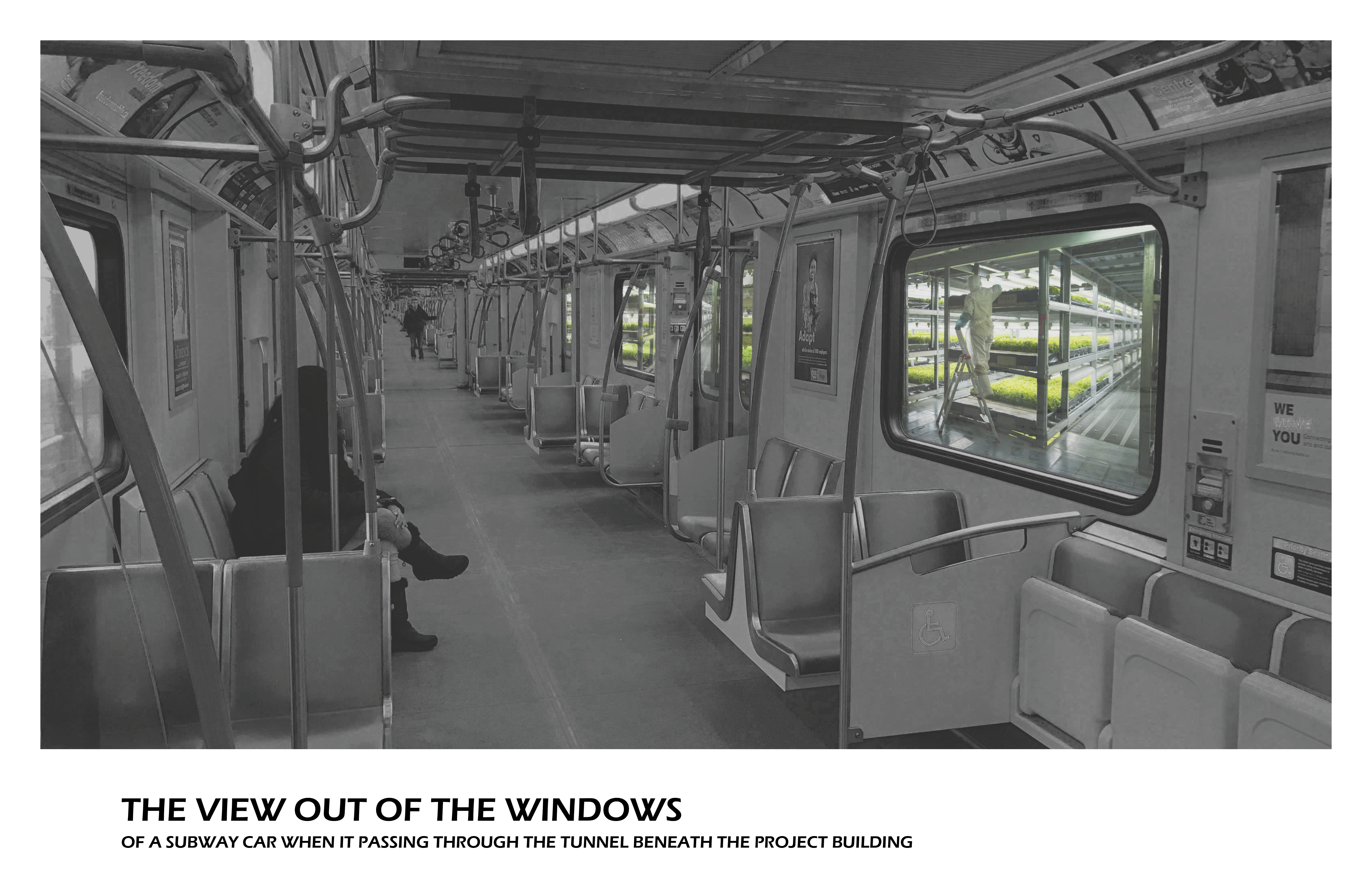 Fresh Food Corridor——From Interstitial spaces to Urban Food Production Corridors