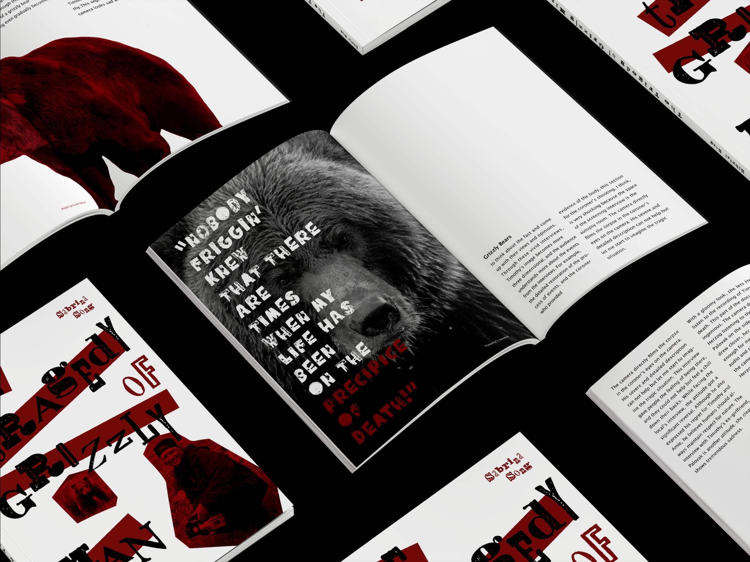 The Tragedy Of Grizzly Man