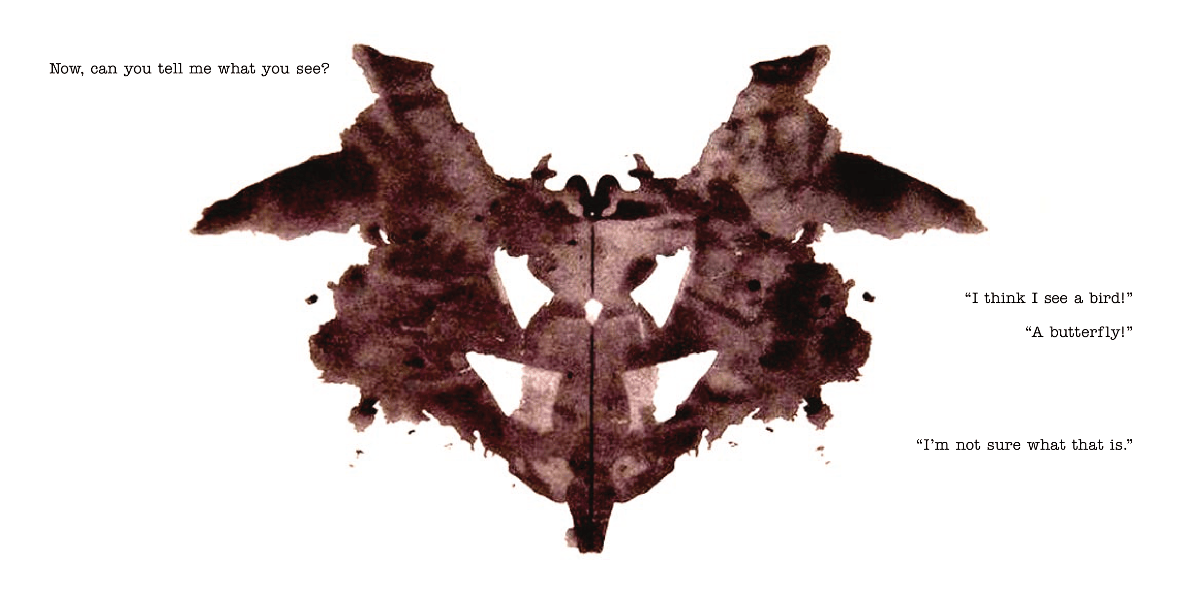 Can You Tell me What You See?