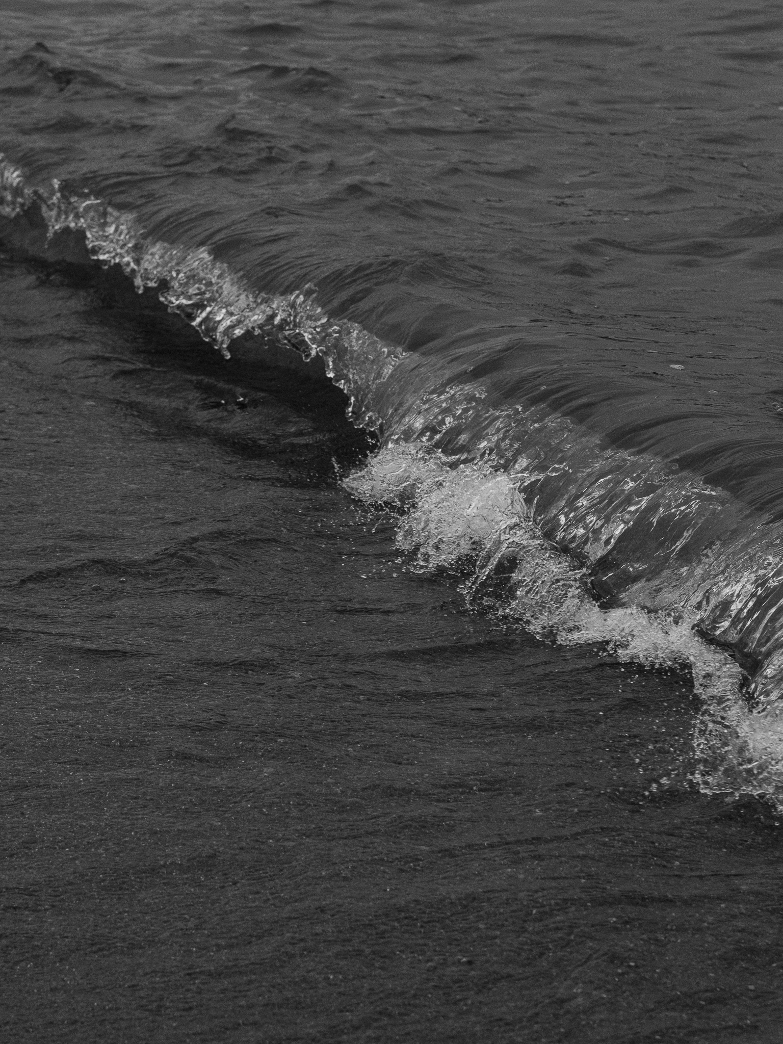 Meet with Nobody on the Dune