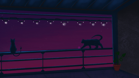 Kittens On The Balcony