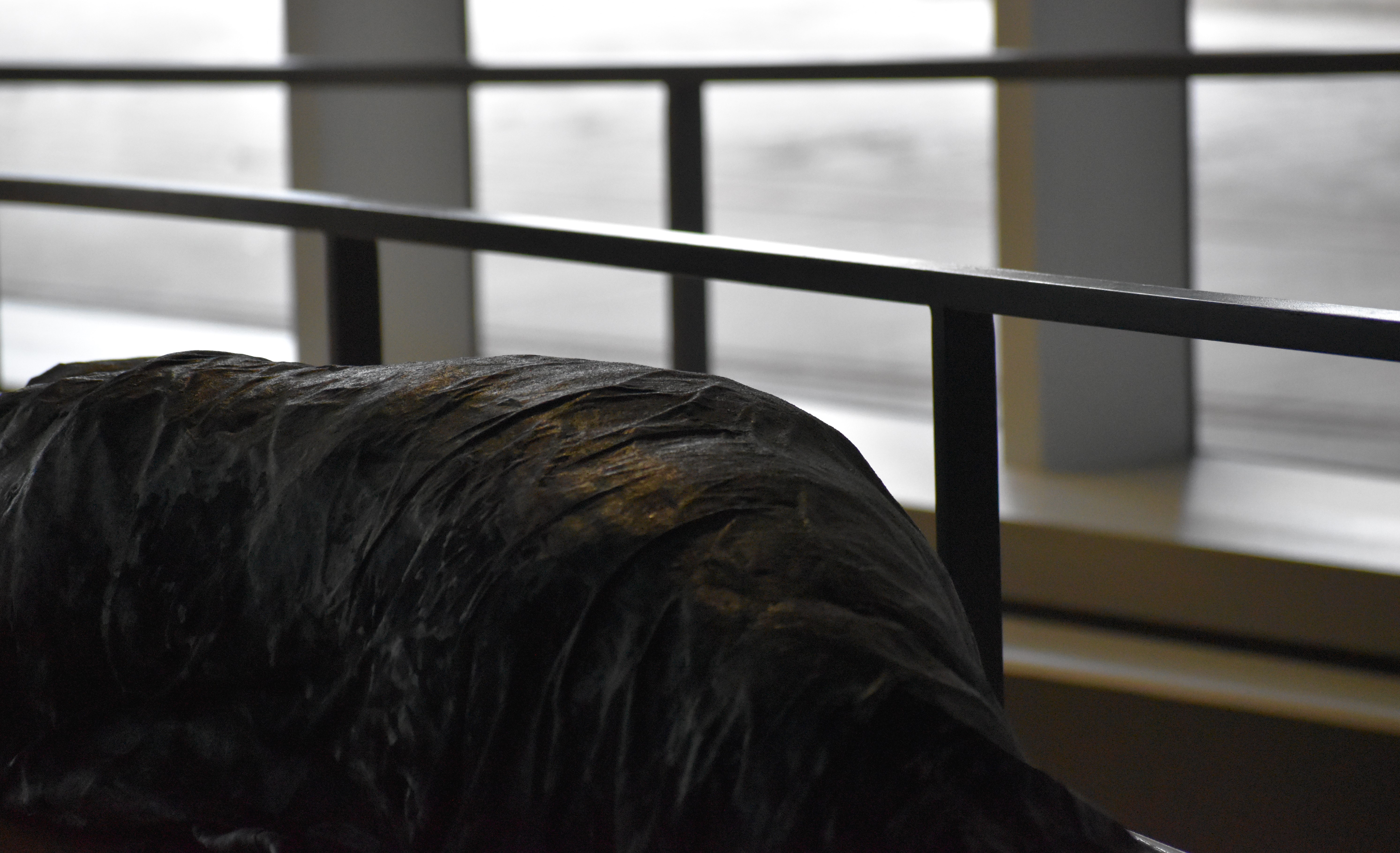 [Post] Post-mortem Body 01, 02, 03