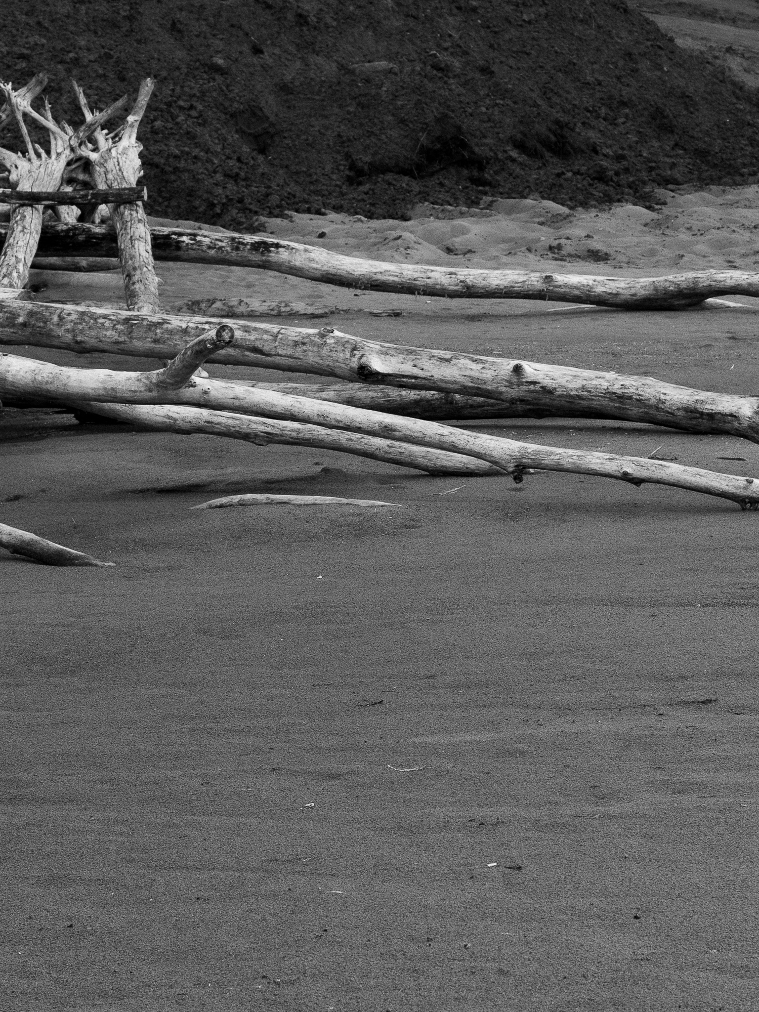 Meet with Nobody on the Dune