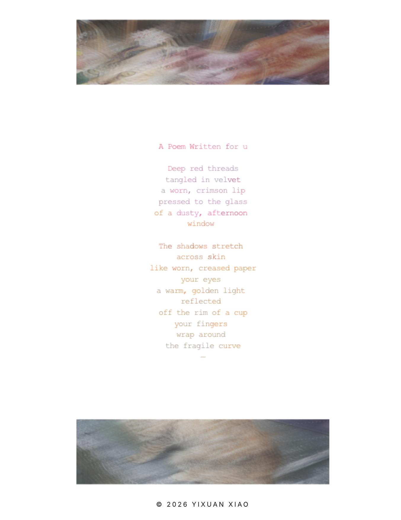 Life Noise