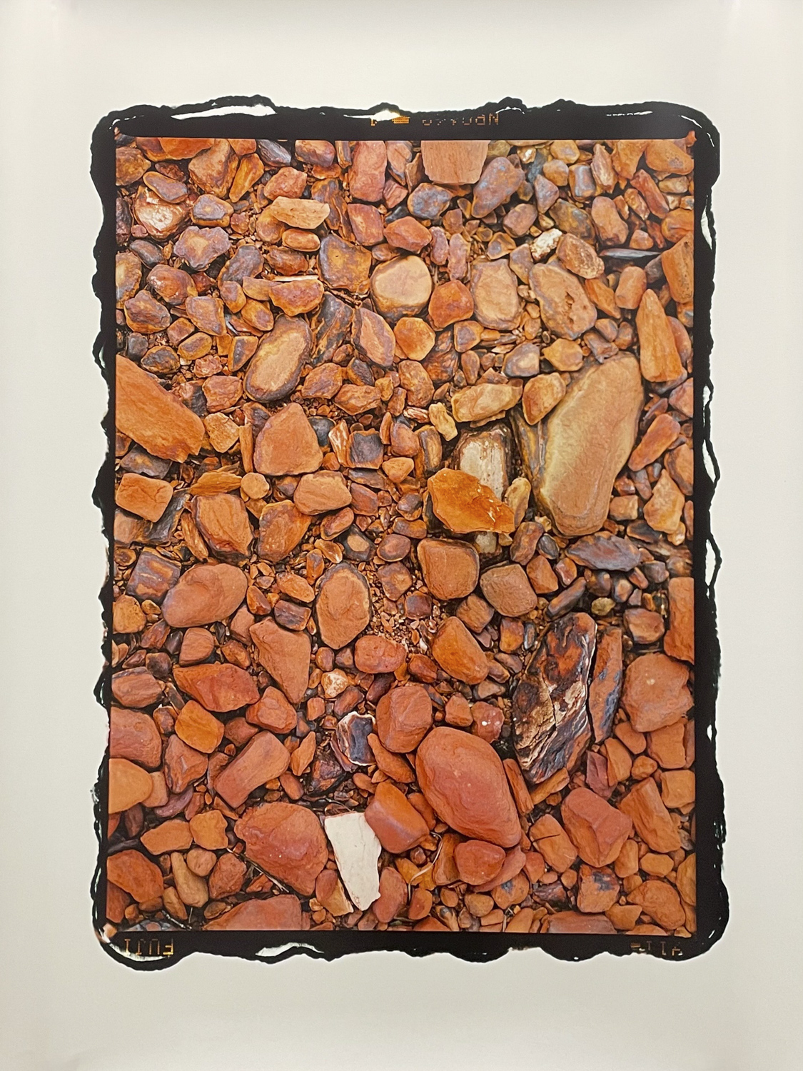 Jack of Clubs (Beach)