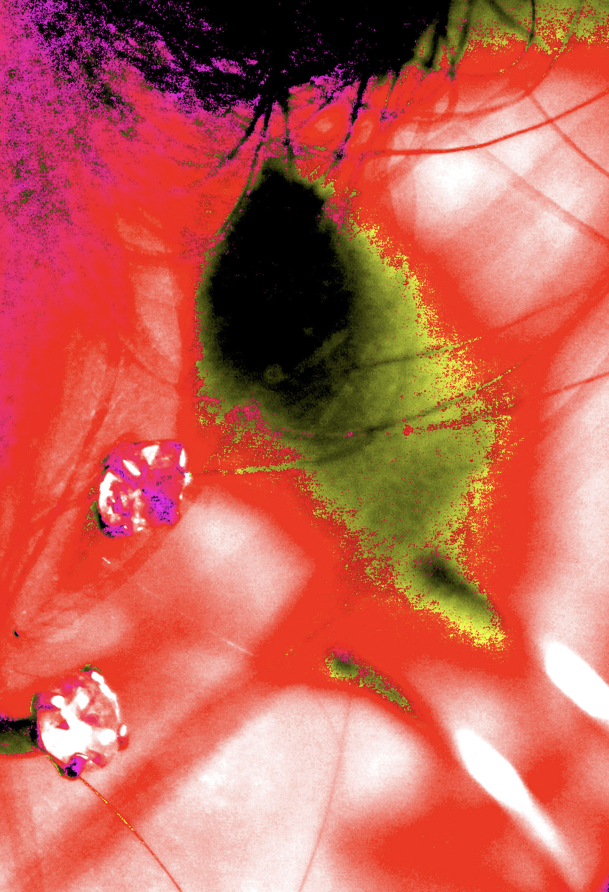 Make Me Up Futuristic Nightclub