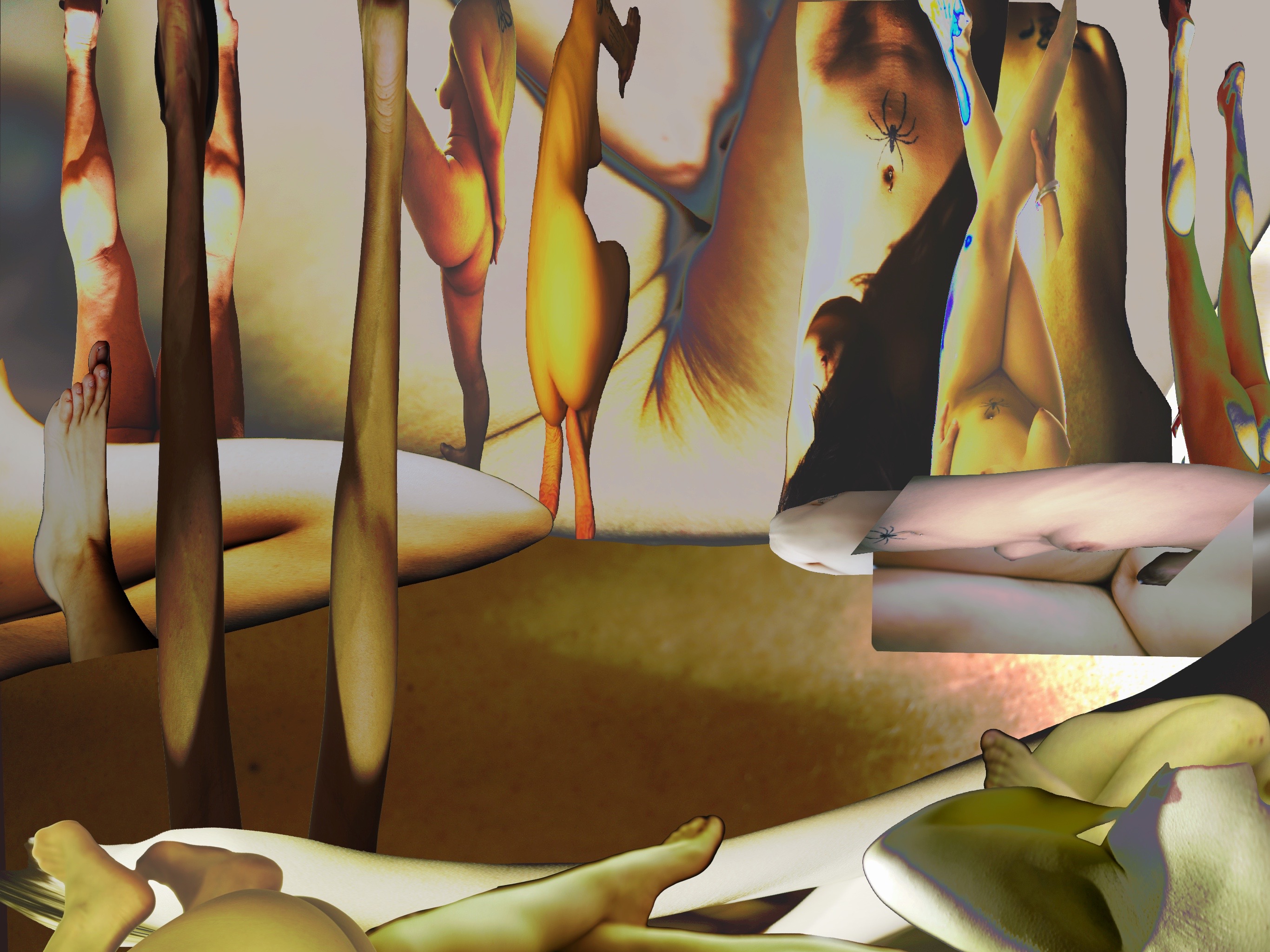 Circulation-Indexical Coexistence