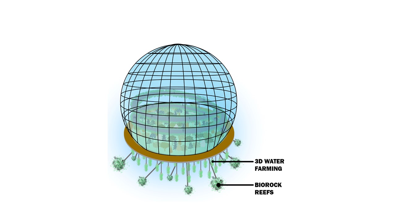 Toronto's Floating Gardens