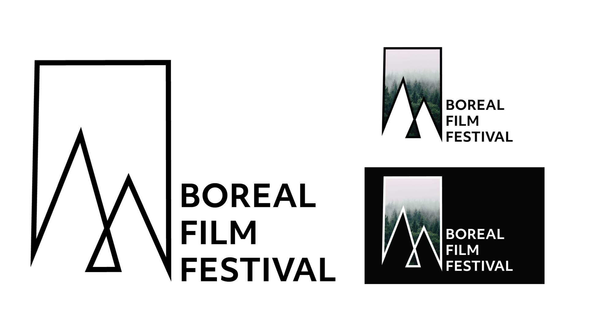 Boreal Film Festival - Logo