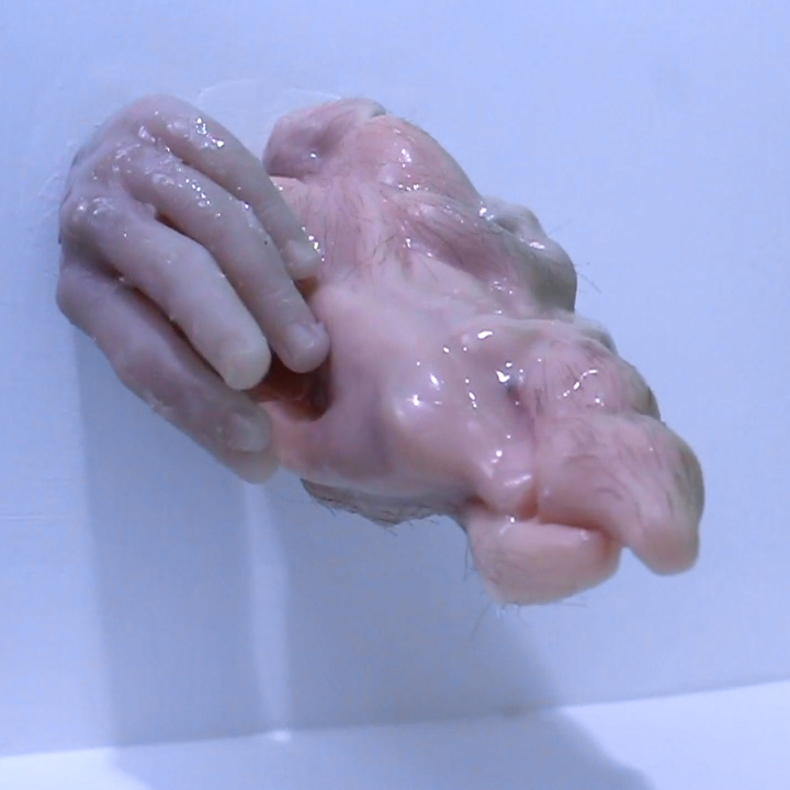 Documentation Images from "Any Part Can Be a Genesis" Installation & Art Objects