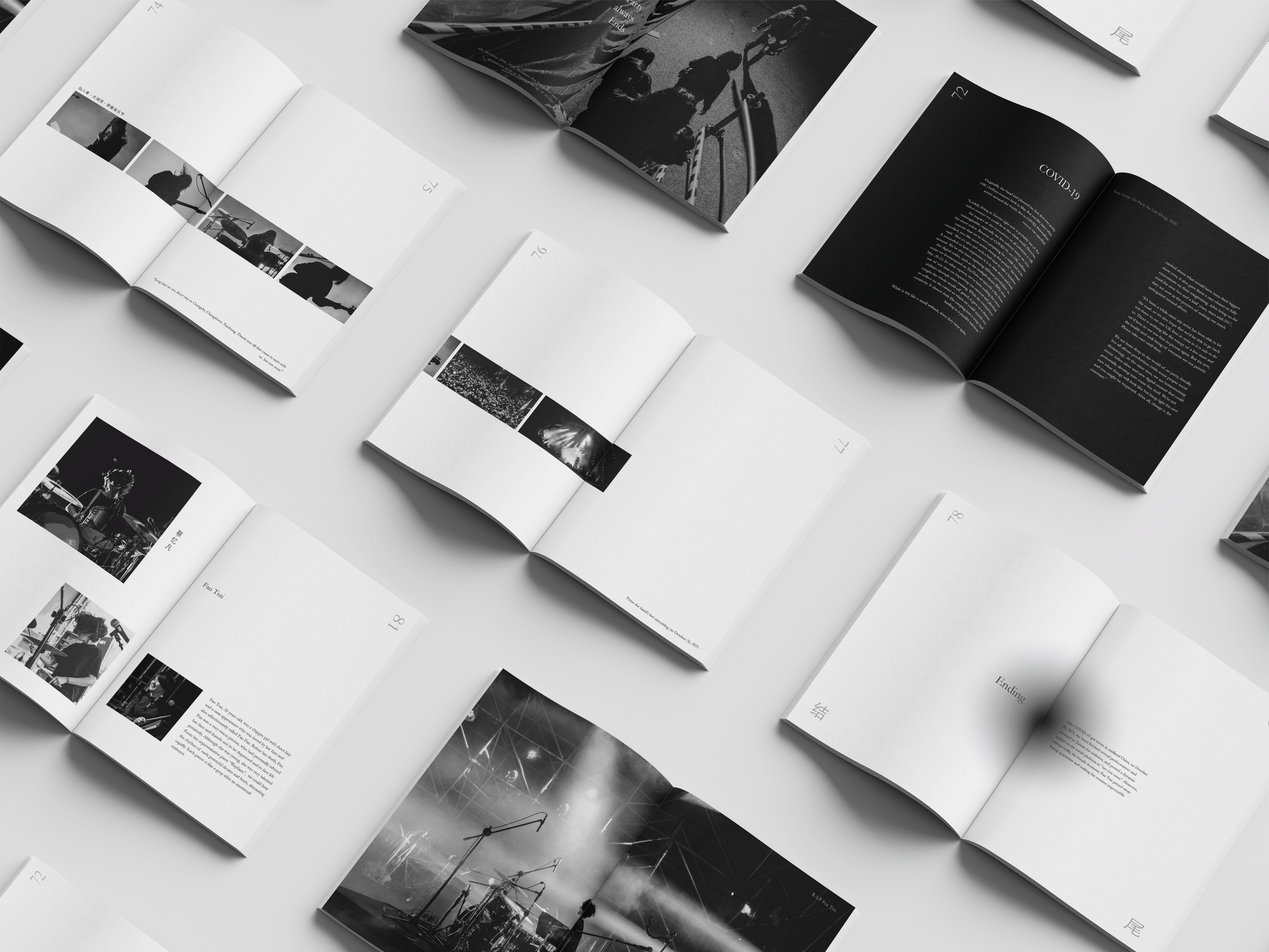 No Party for Cao Dong Memoir