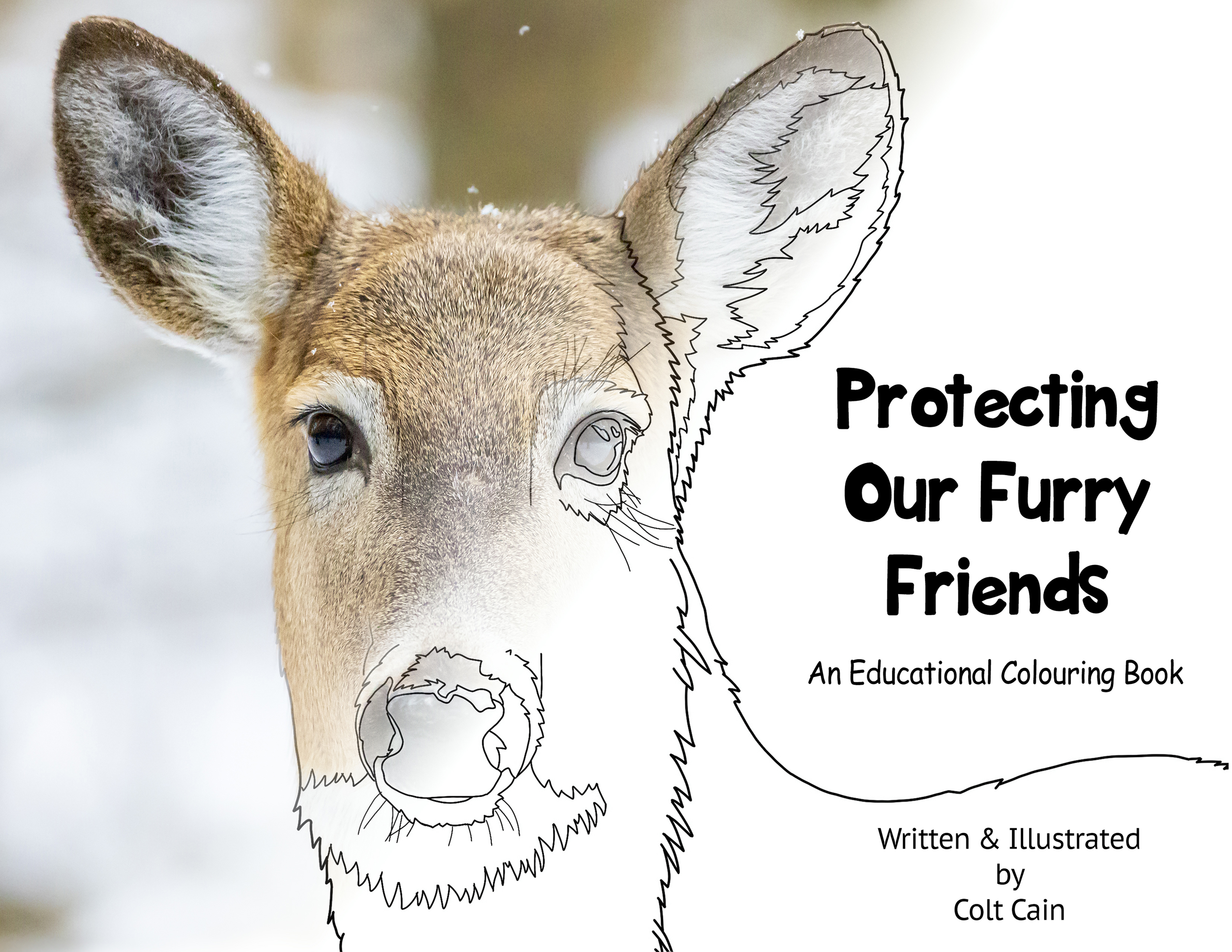 Protecting Our Furry Friends