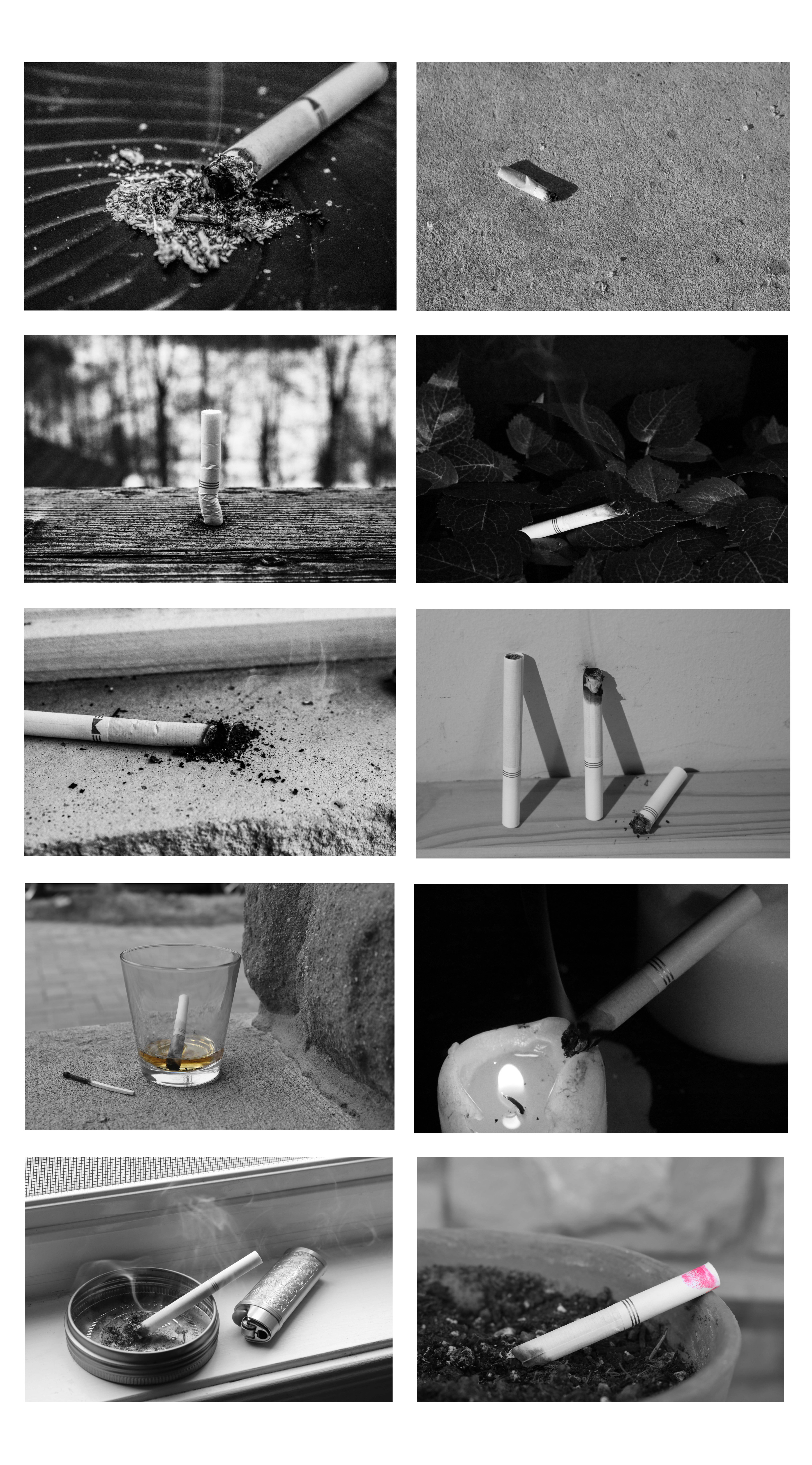 Ephemeral Everlasting