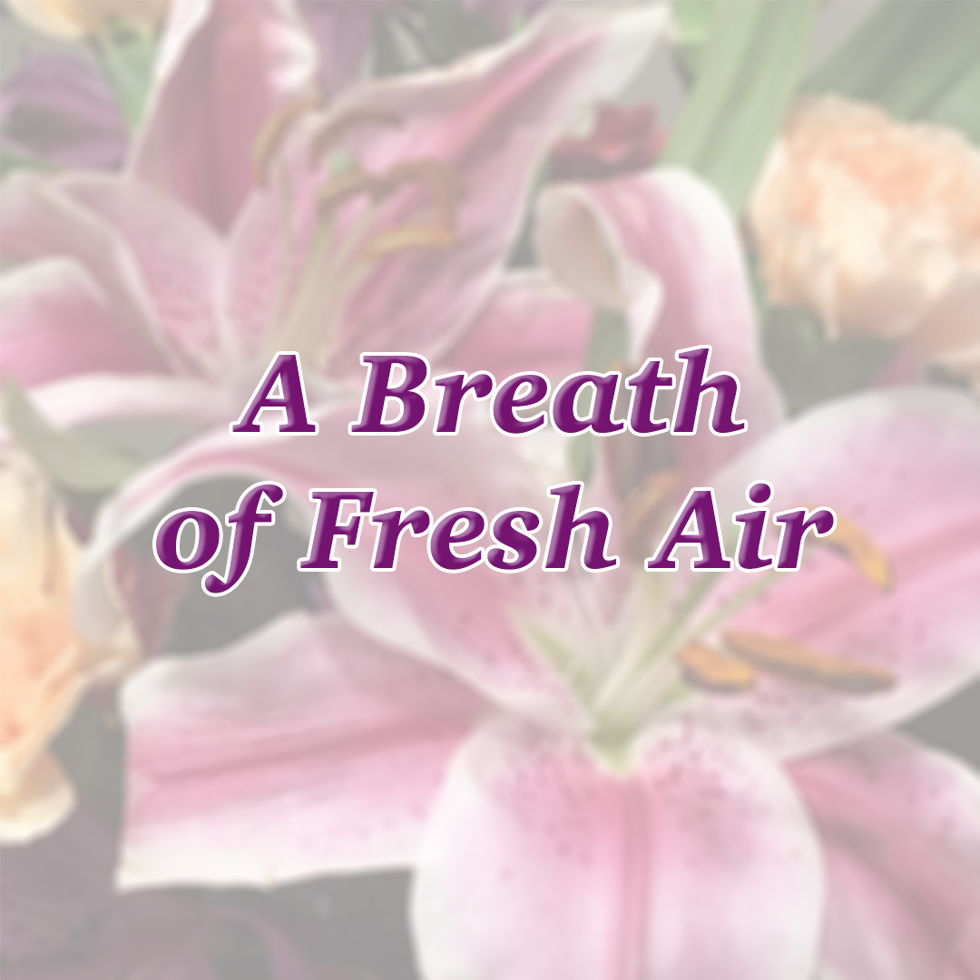 A Breath of Fresh Air