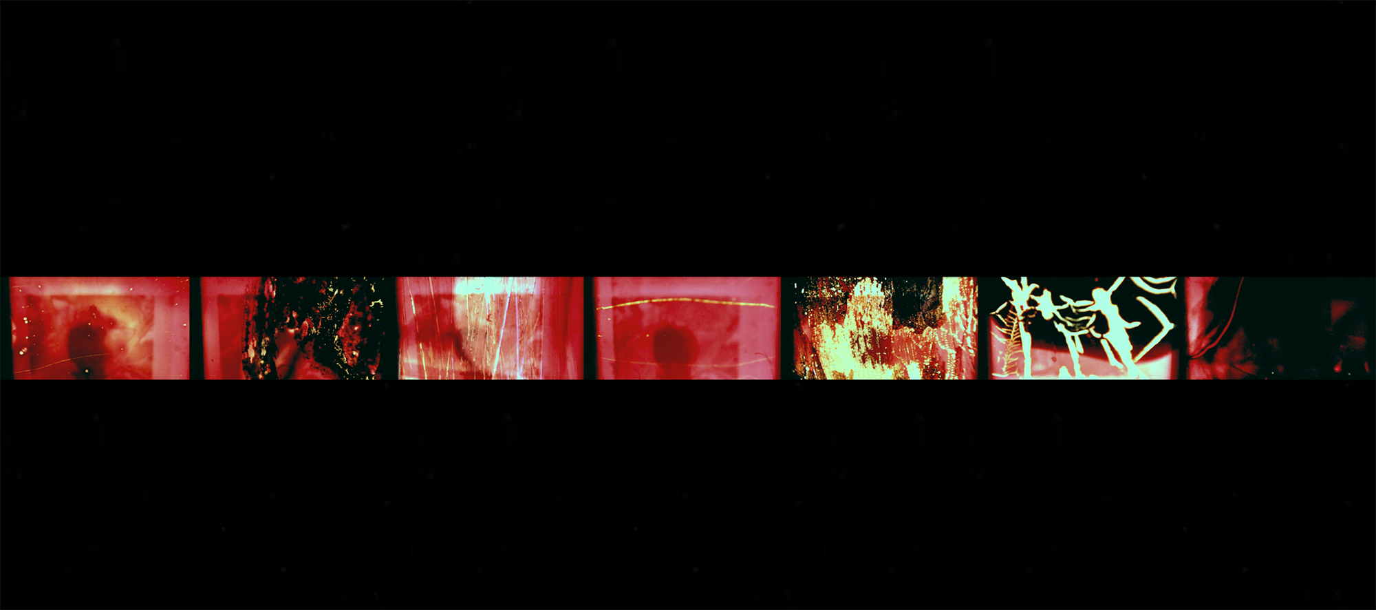 nectar of light (& the abundance of pleasure)