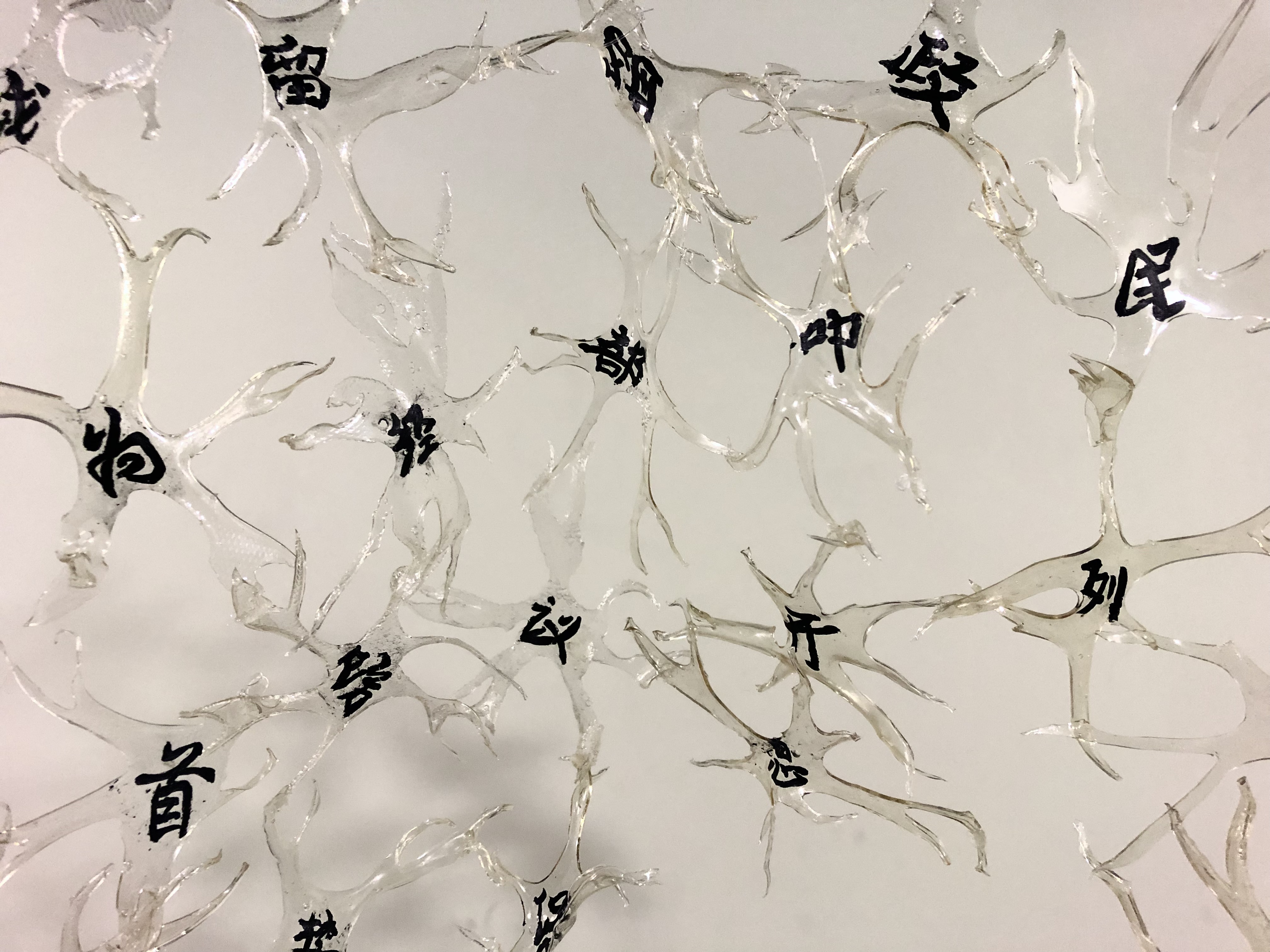 缅怀 (in memoriam)