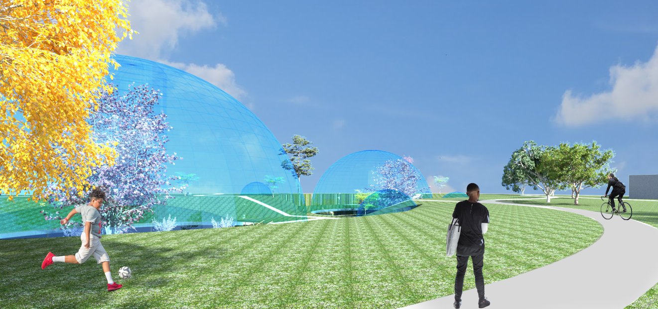 Reverie - Observable Seed Vault