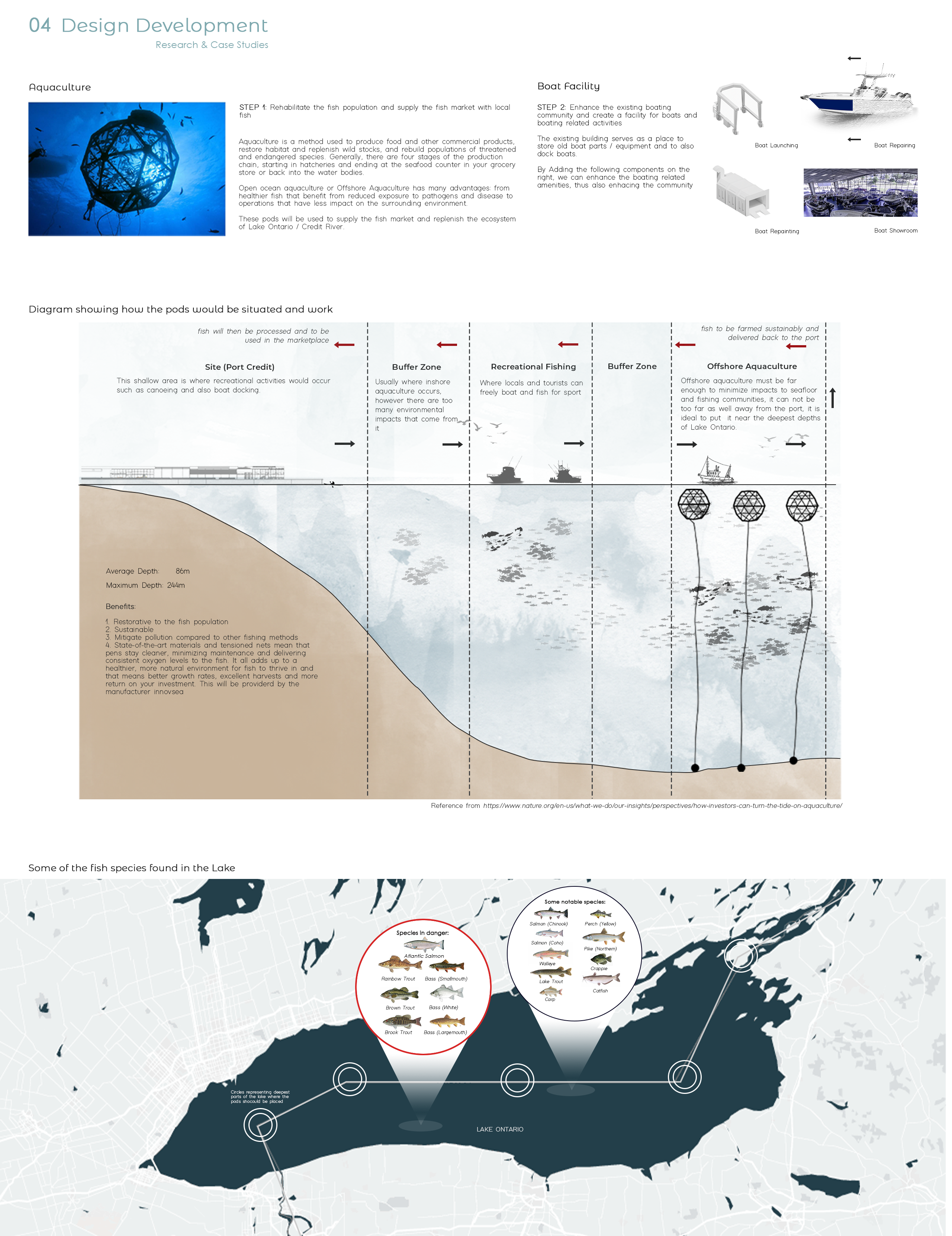 Thesis - Forum Piscis
