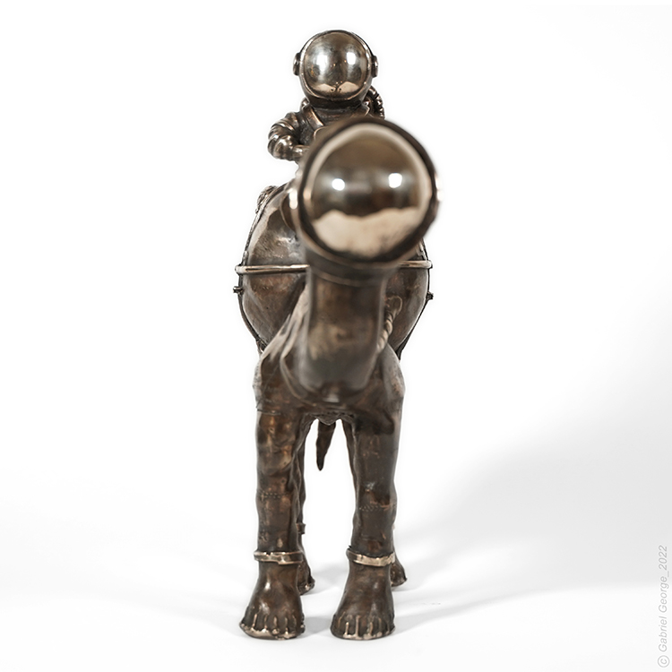 Voyager of the Future