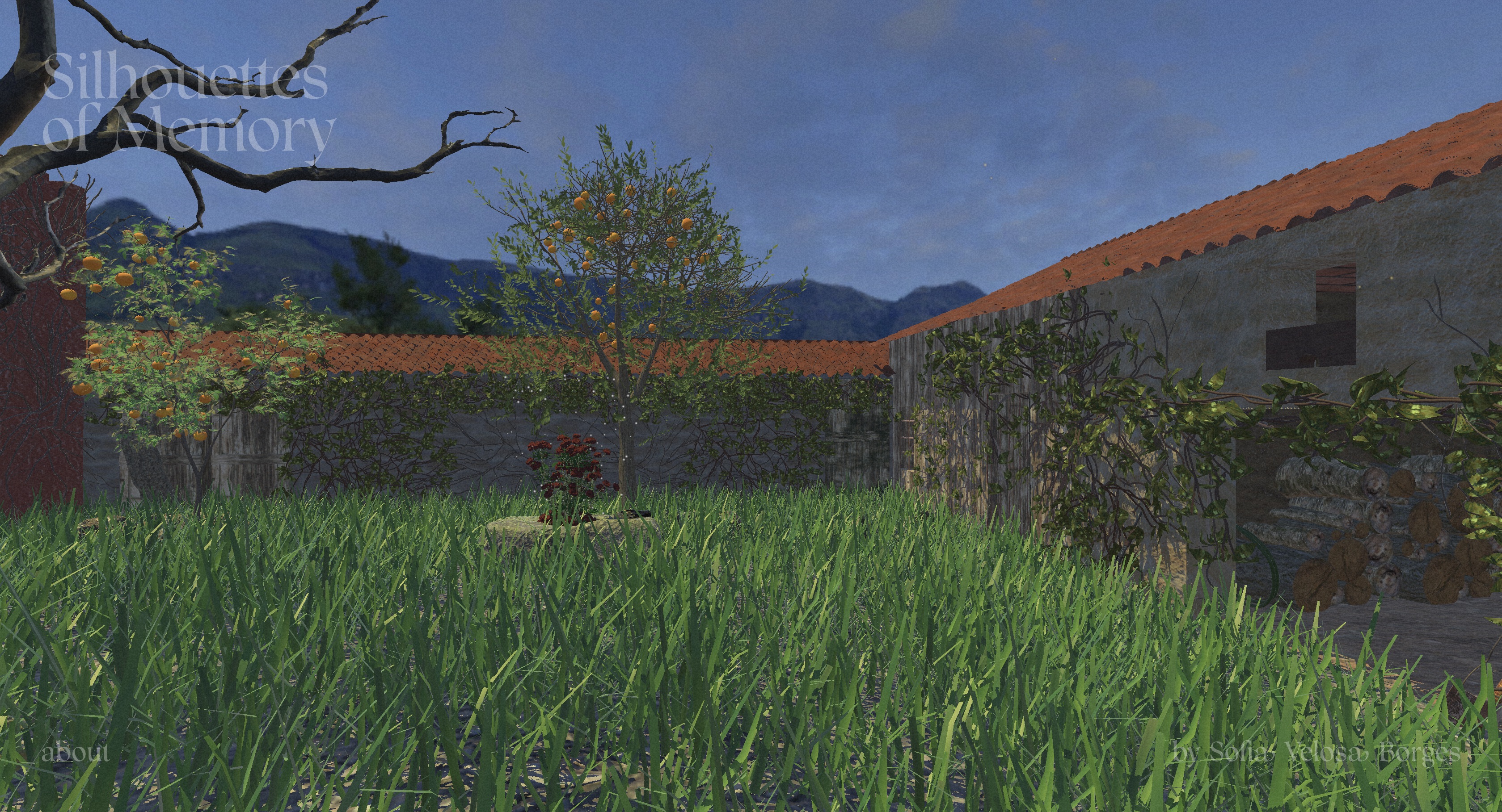 Silhouettes of Memory