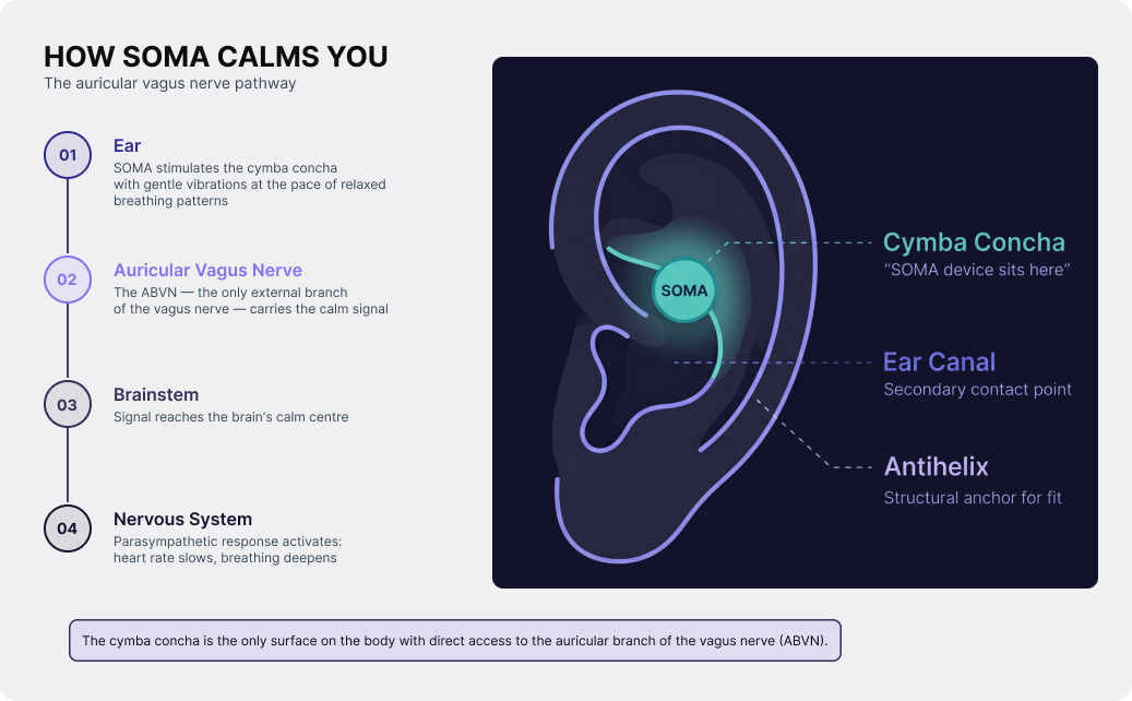 SOMA — Wired for Calm