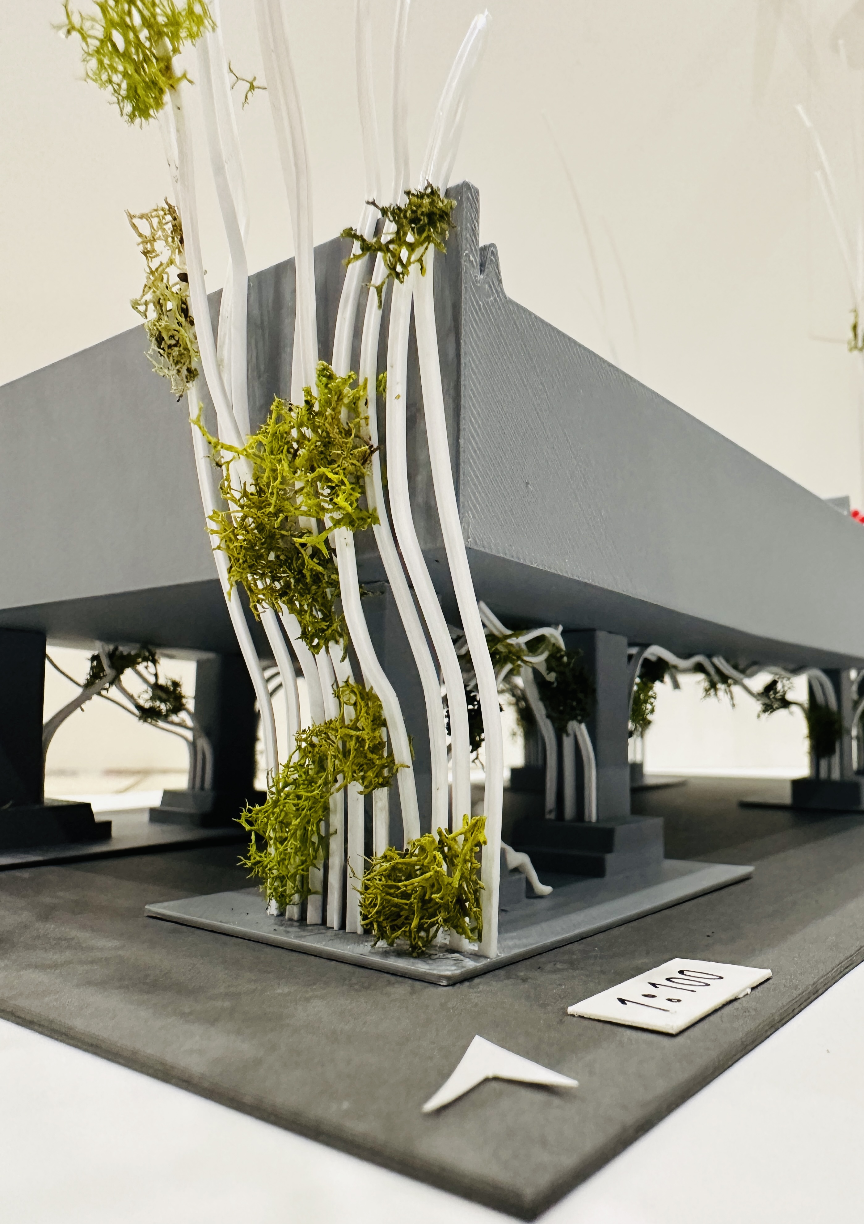 Living Layers of Nature