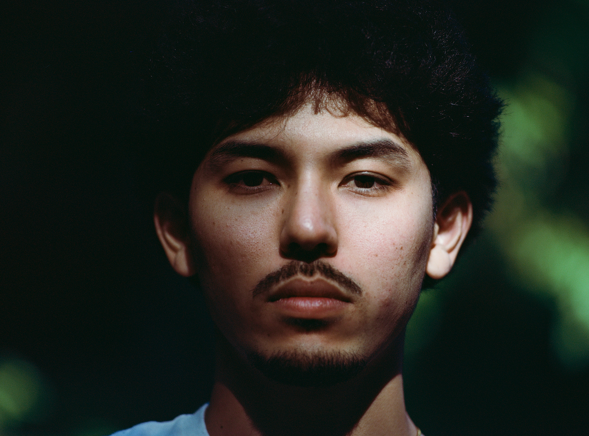 Untitled from Lüften (Kansei), chromogenic print, 2025.