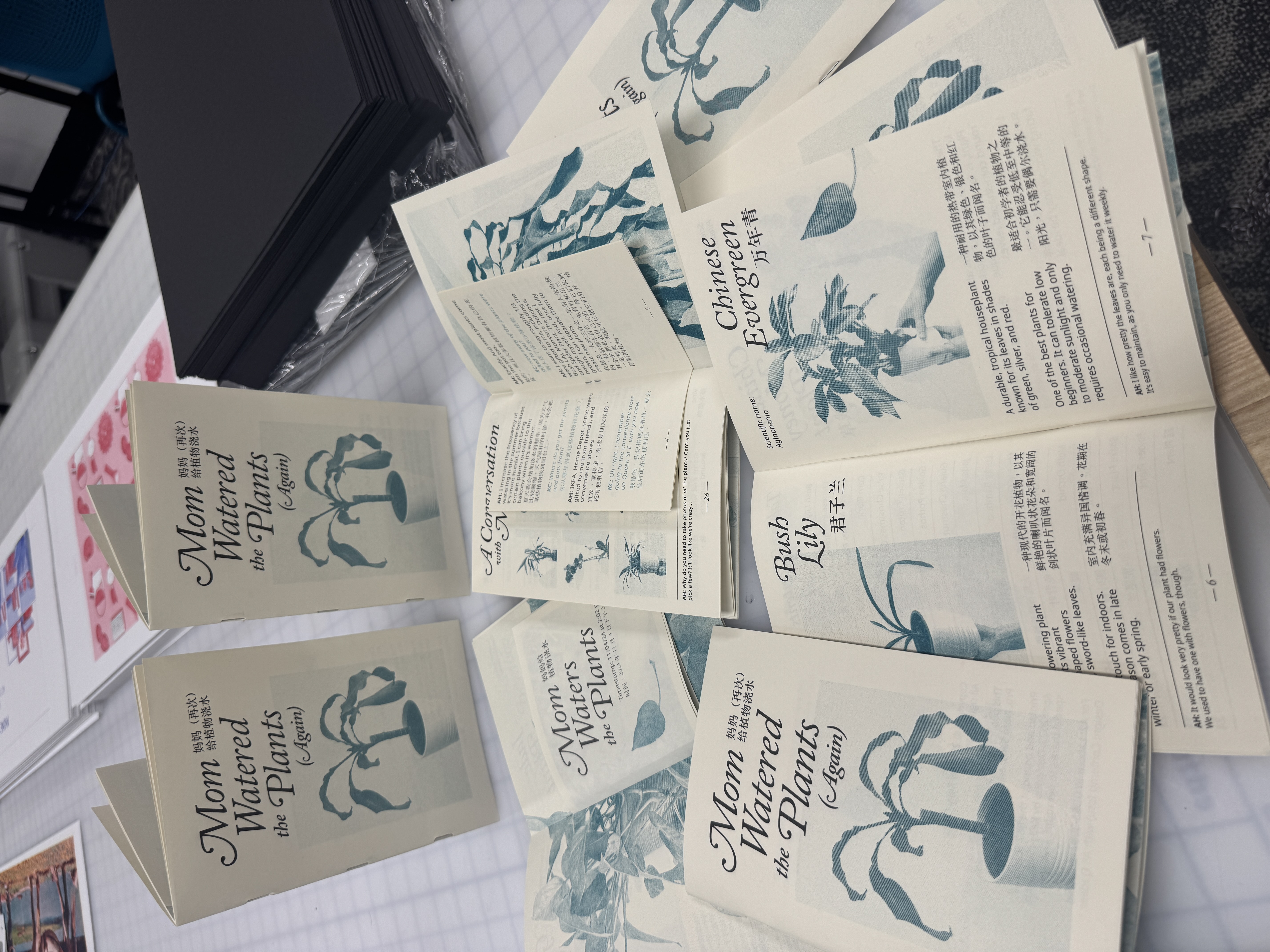 Mom Watered the Plants (Again)