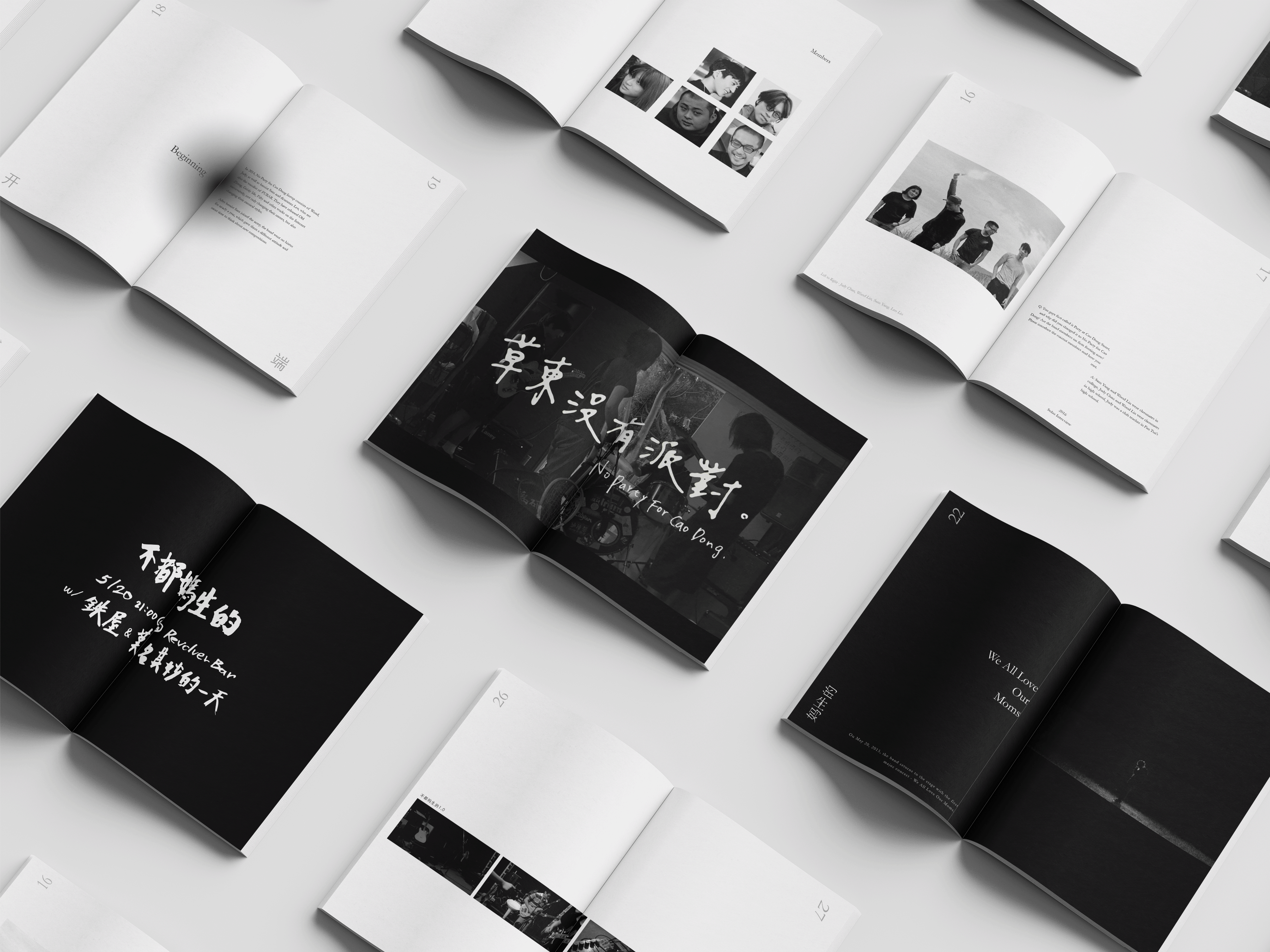 No Party for Cao Dong Memoir