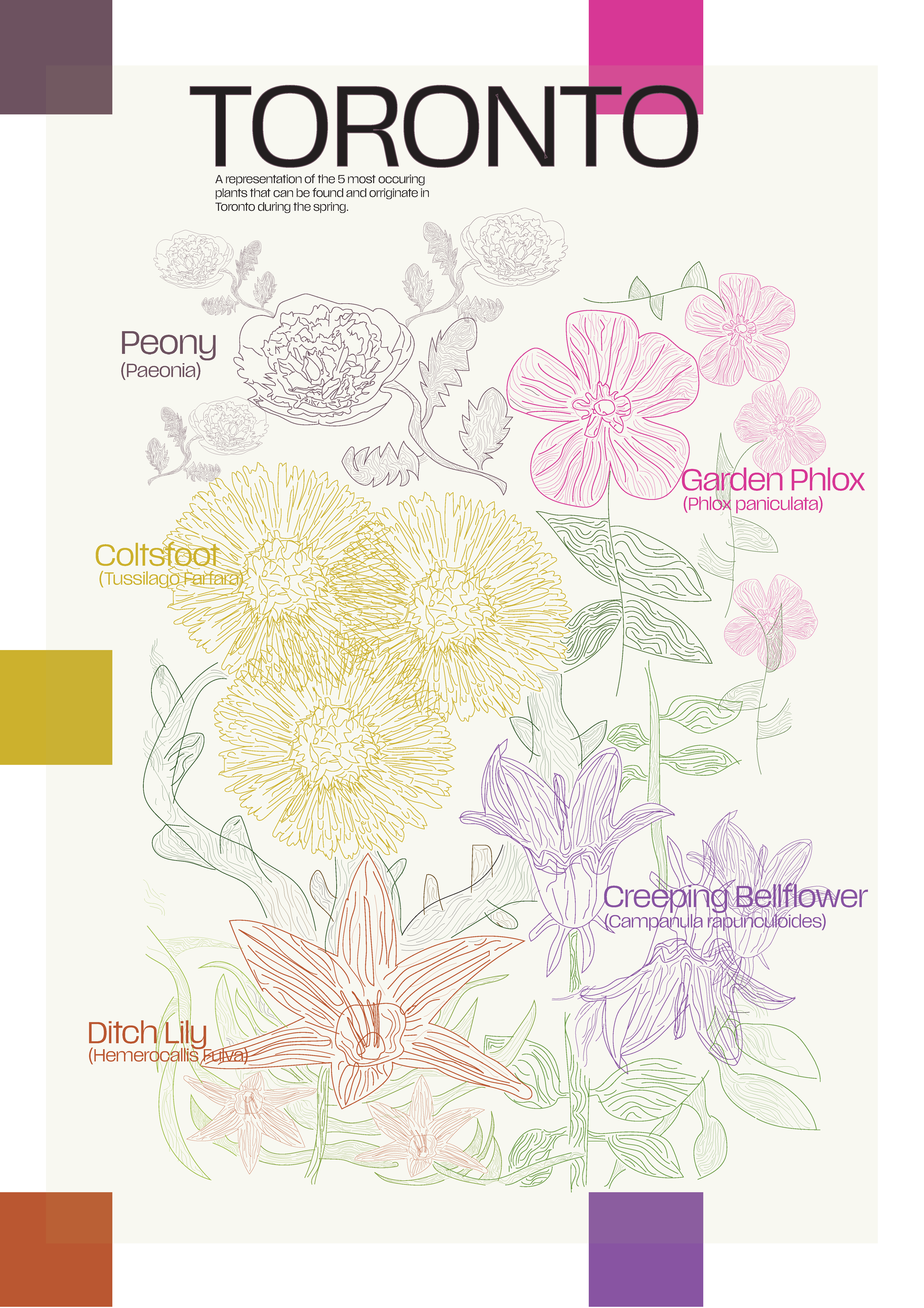 Toronto Nature Travel Posters