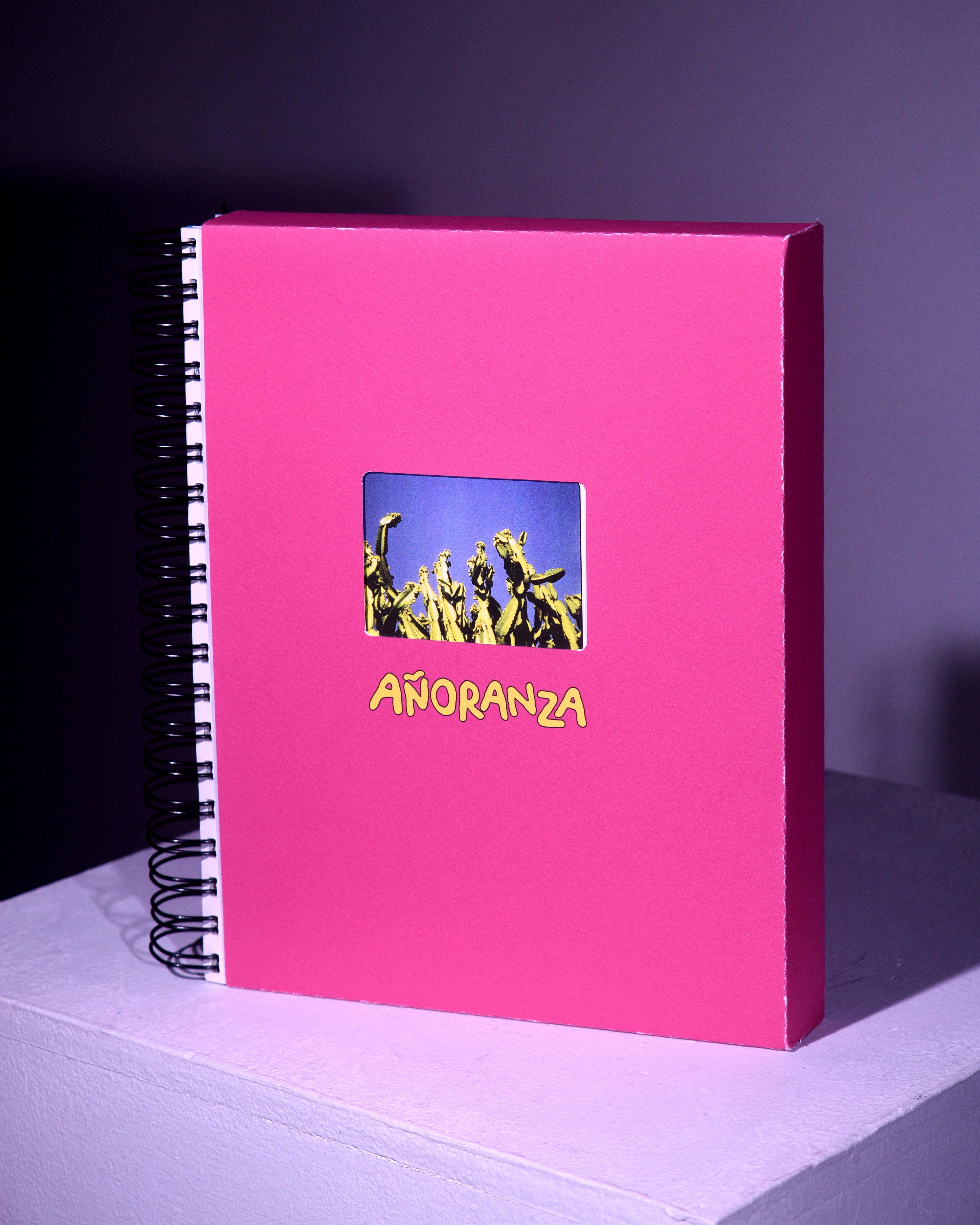 Añoranza: The Photobook