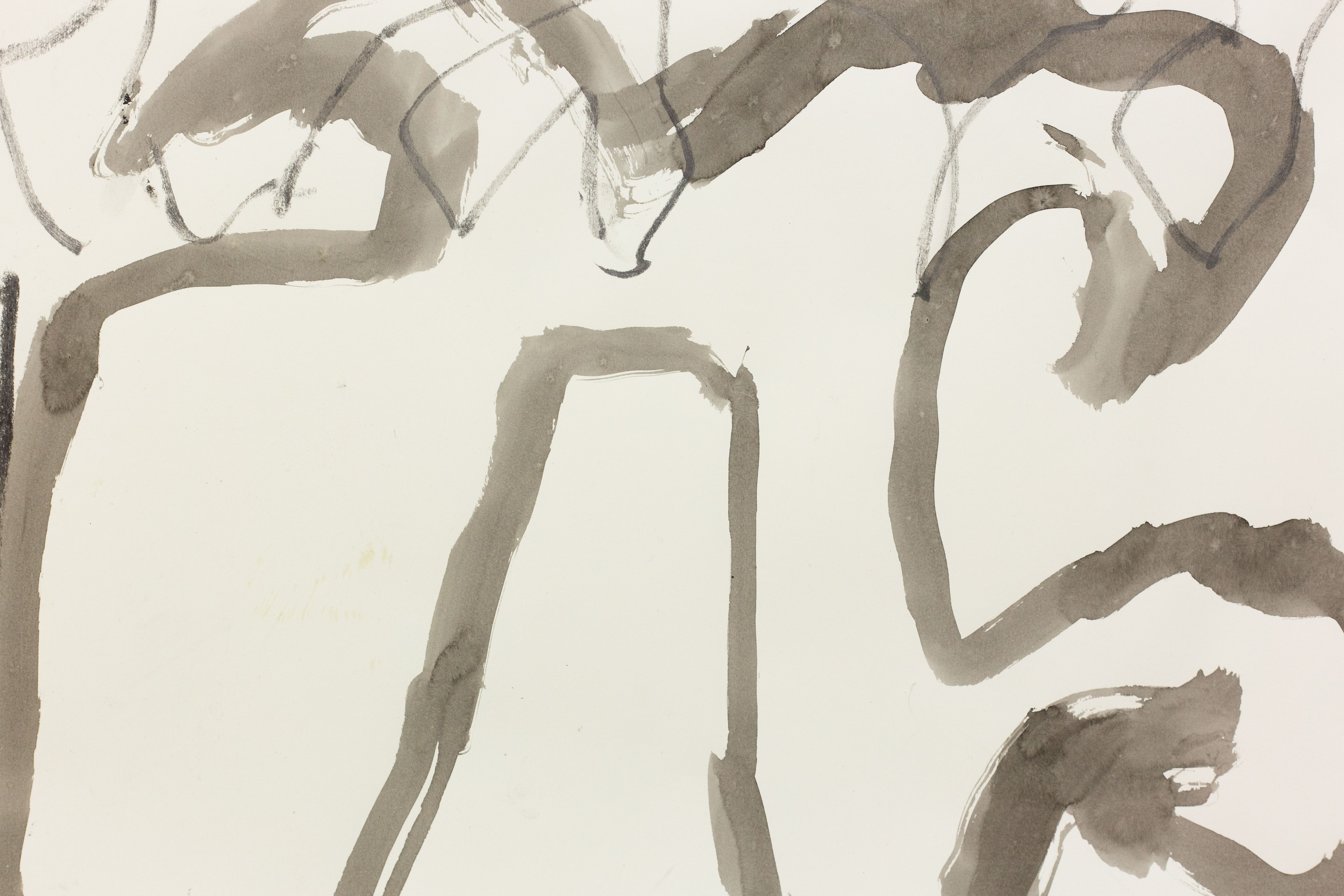 Big Dragon Small Cage