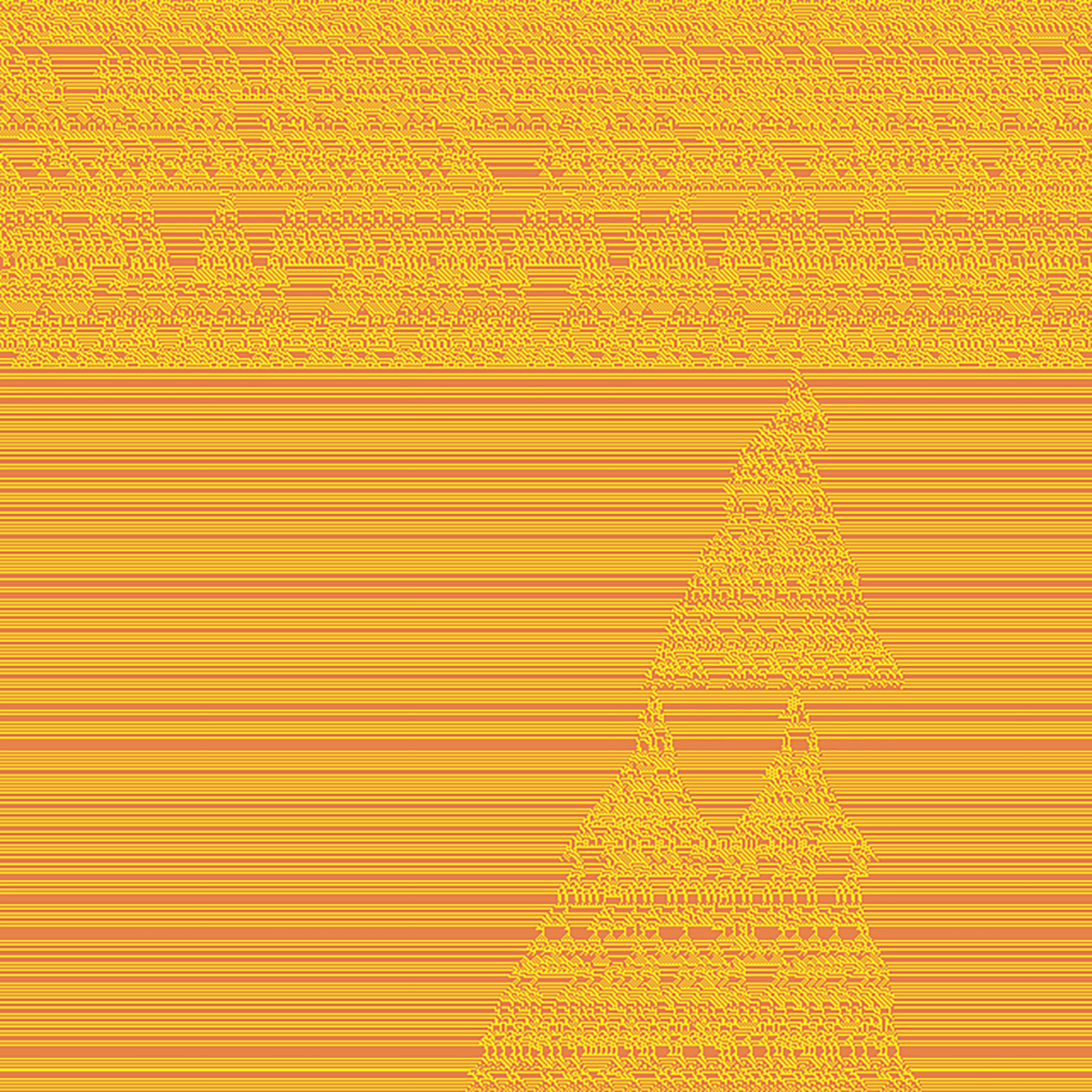 What did you do today?