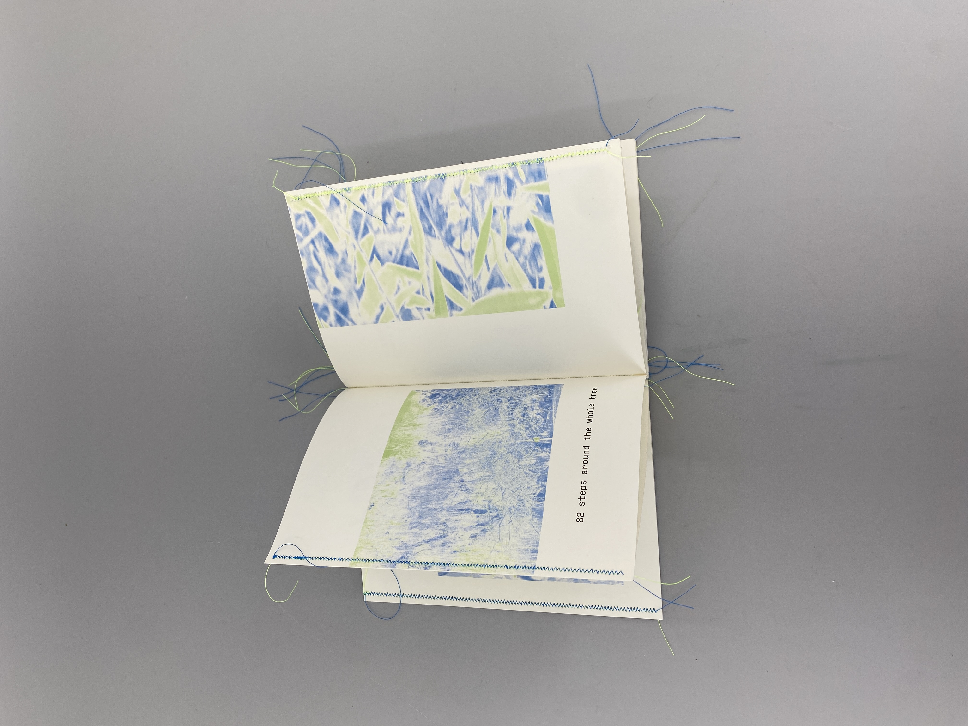 a moment with a tree